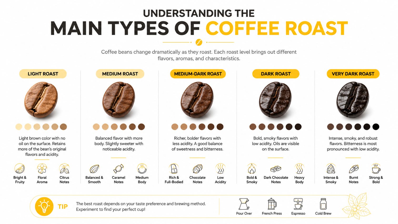 An infographic illustrating five types of coffee roasts, showing bean color, flavor profiles, and brewing methods.