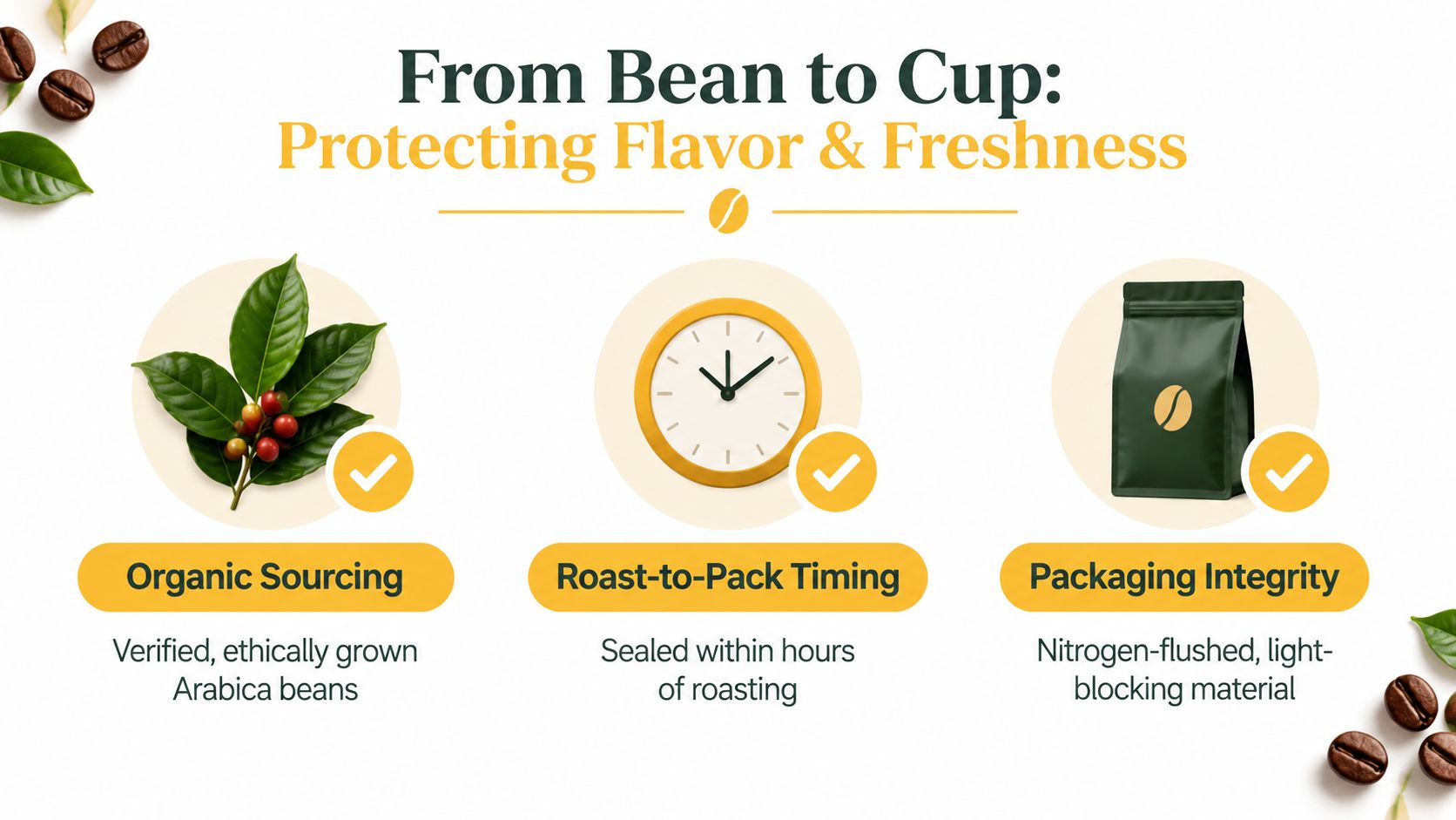 An infographic detailing the three key steps of coffee production, covering organic sourcing, roasting timing, and packaging.