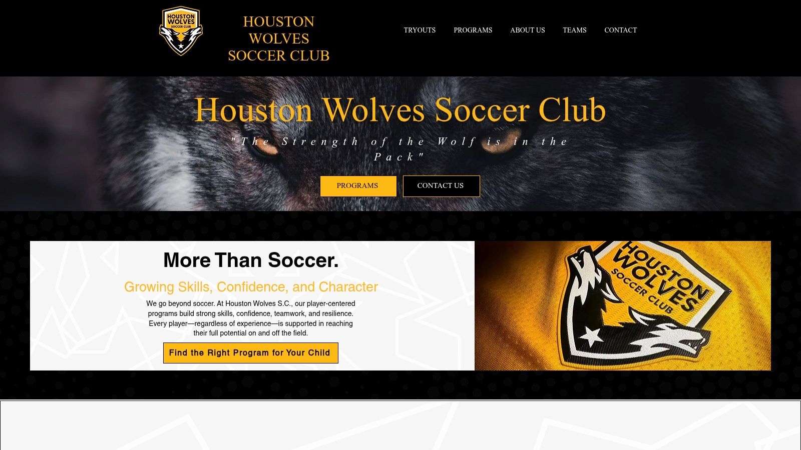 Houston Wolves Soccer Club