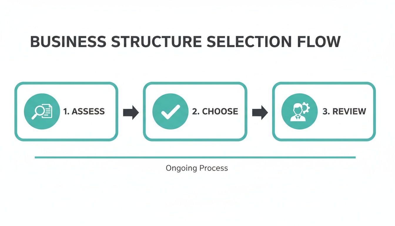 Infographic detailing a three-step business structure selection process: Assess, Choose, Review, as an ongoing flow.