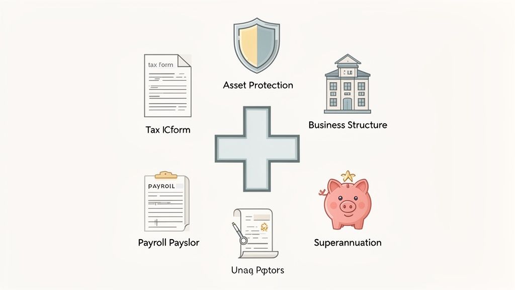 Diagram showing various business and financial services: asset protection, tax, business structure, payroll, legal, and superannuation.