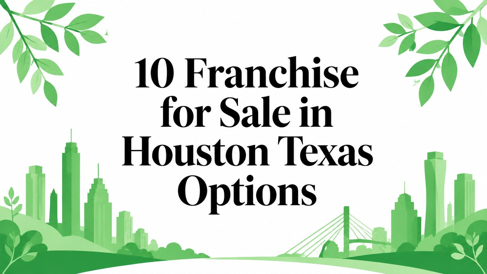 10 Franchise for Sale in Houston Texas Options