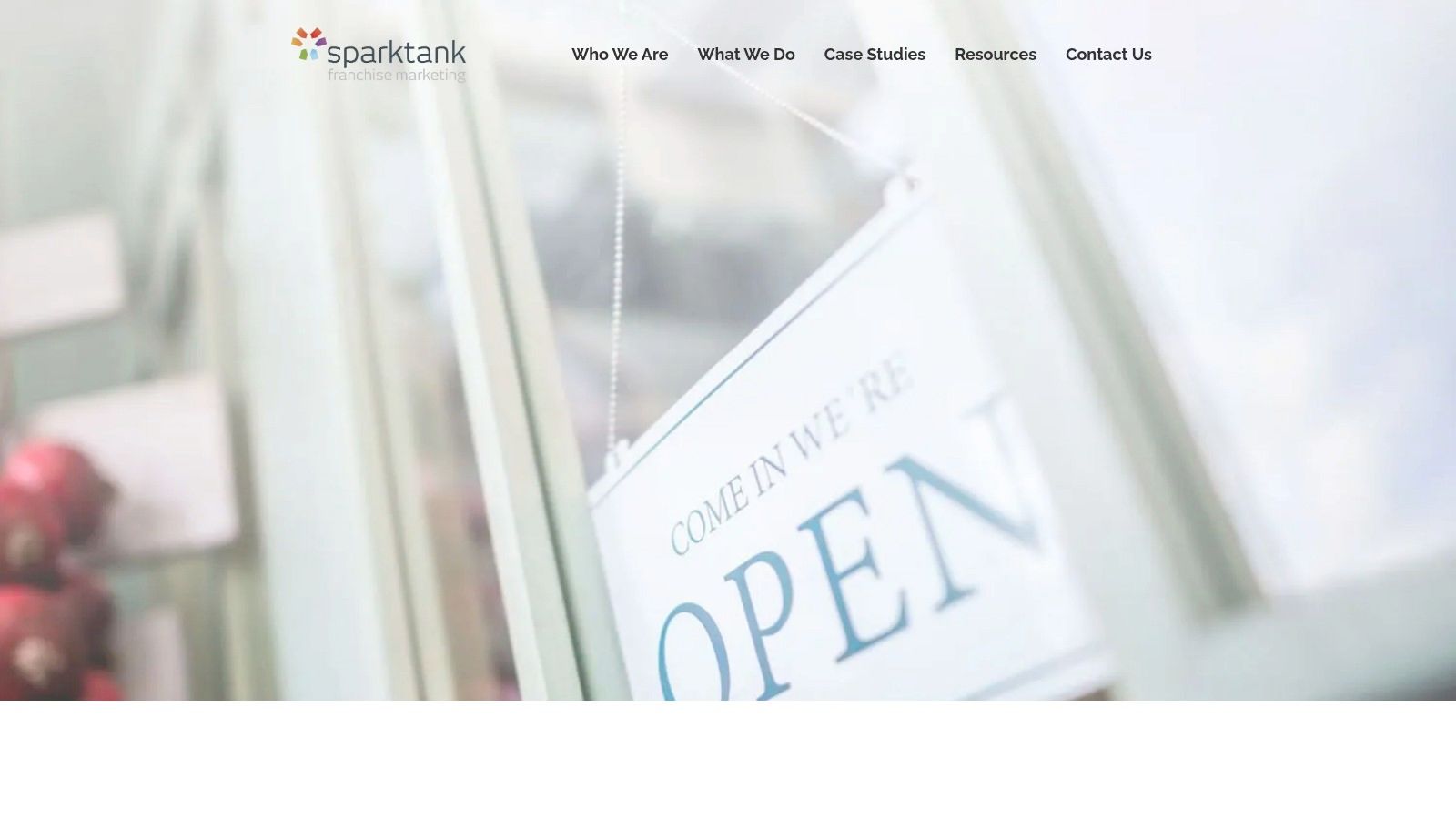 Sparktank Franchise Marketing