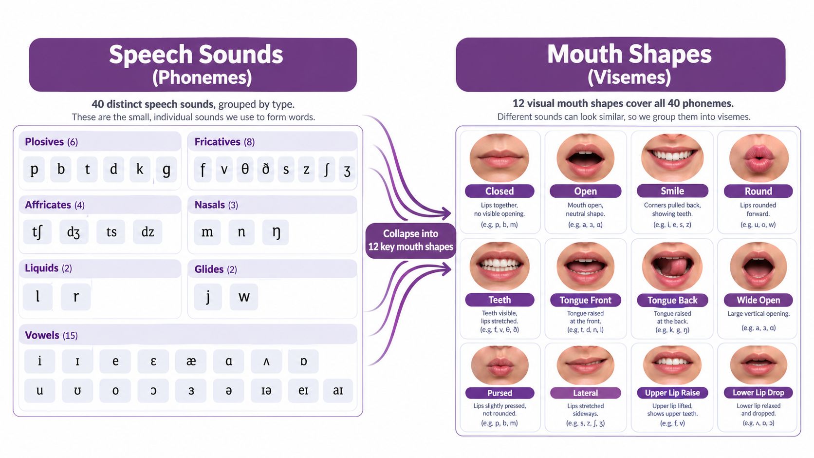 A chart illustrating how 40 distinct speech sounds, or phonemes, collapse into 12 visual mouth shapes called visemes.