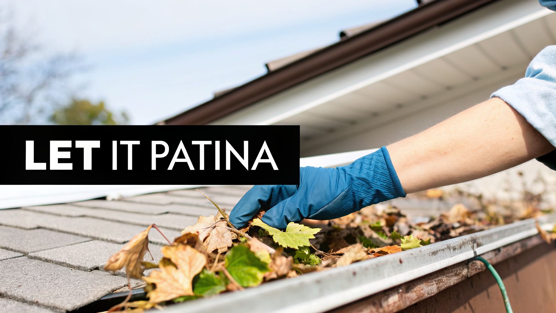 A person wearing a blue glove cleans dry leaves and debris from a roof gutter.