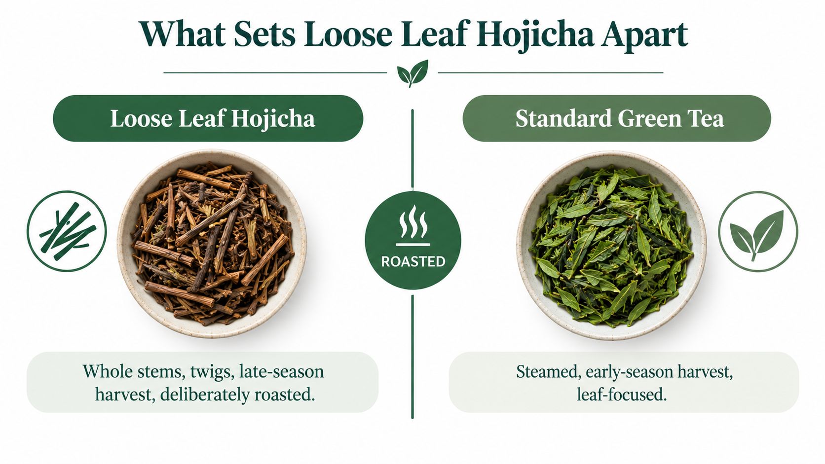 A comparative infographic highlighting the differences between loose leaf hojicha and standard green tea production methods.