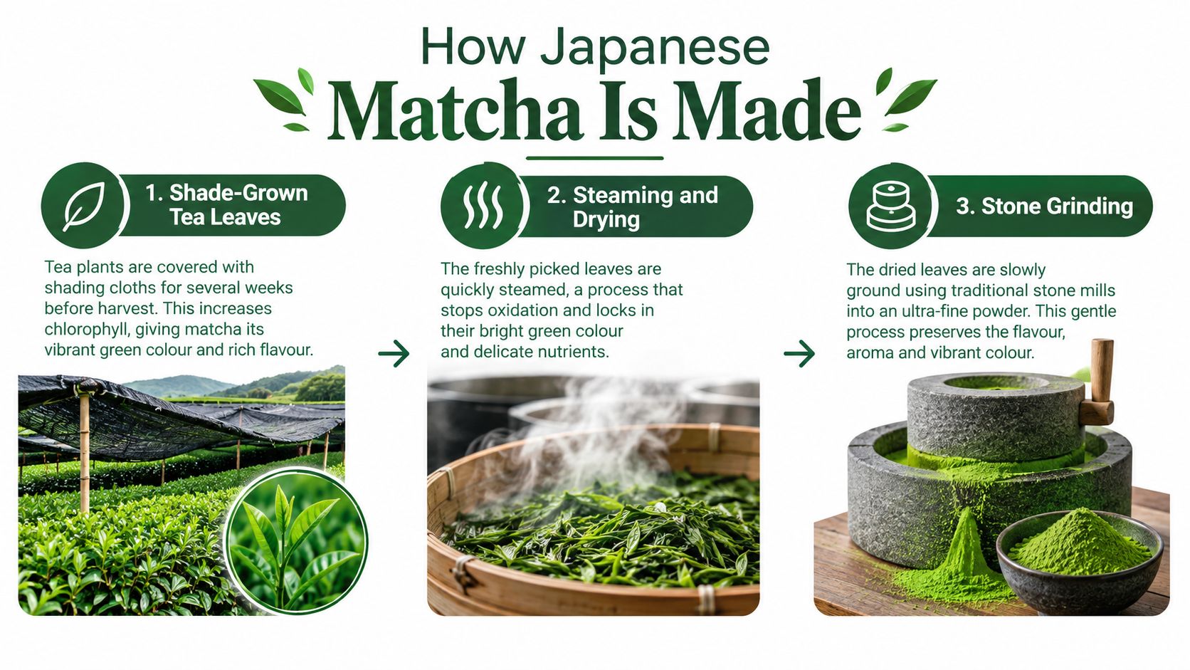A detailed infographic showing the three-step traditional production process of Japanese matcha green tea powder.