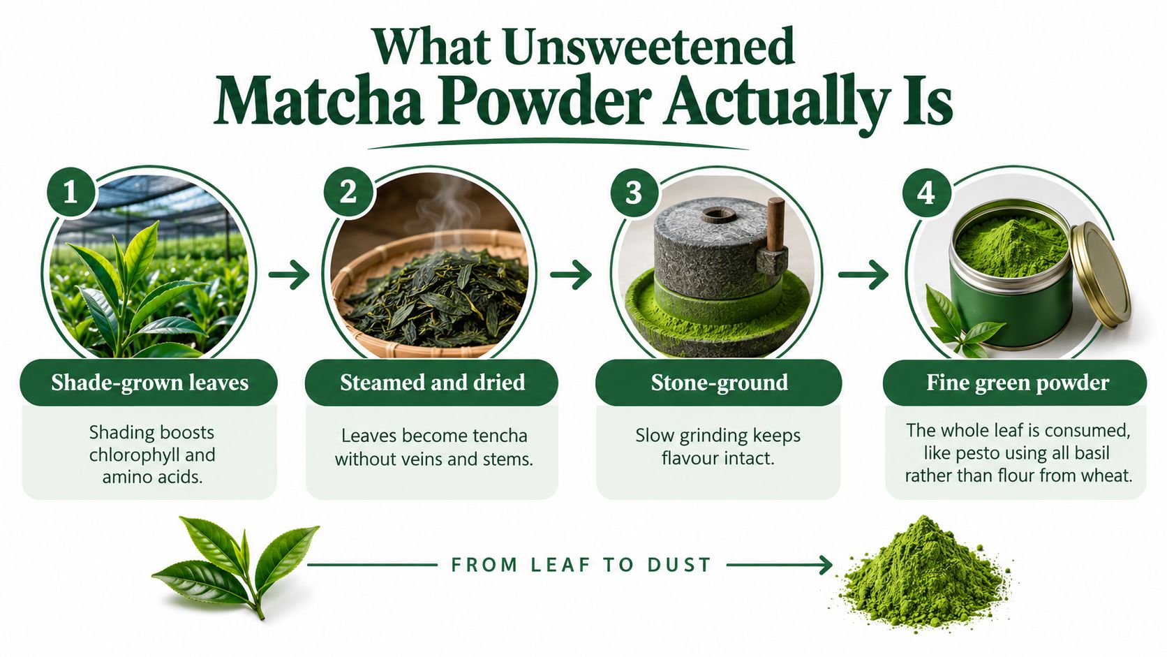 An infographic showing the four-step production process of unsweetened matcha powder from shade-grown leaves to fine green powder.