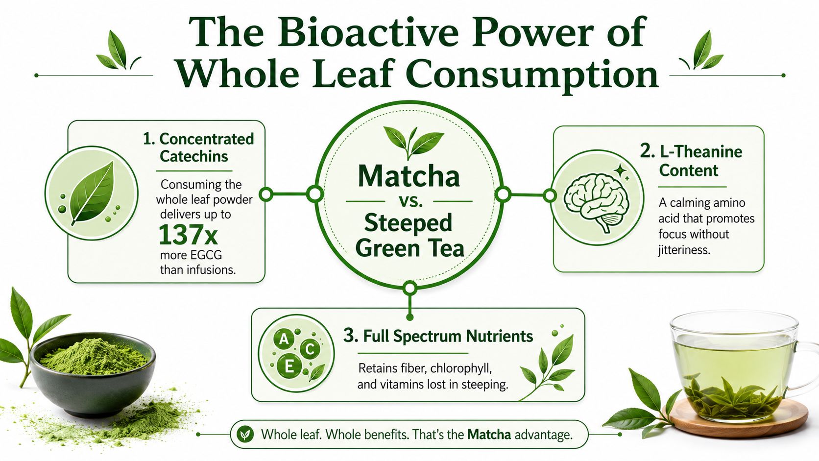 An infographic showing health benefits of matcha green tea powder compared to traditionally steeped green tea.