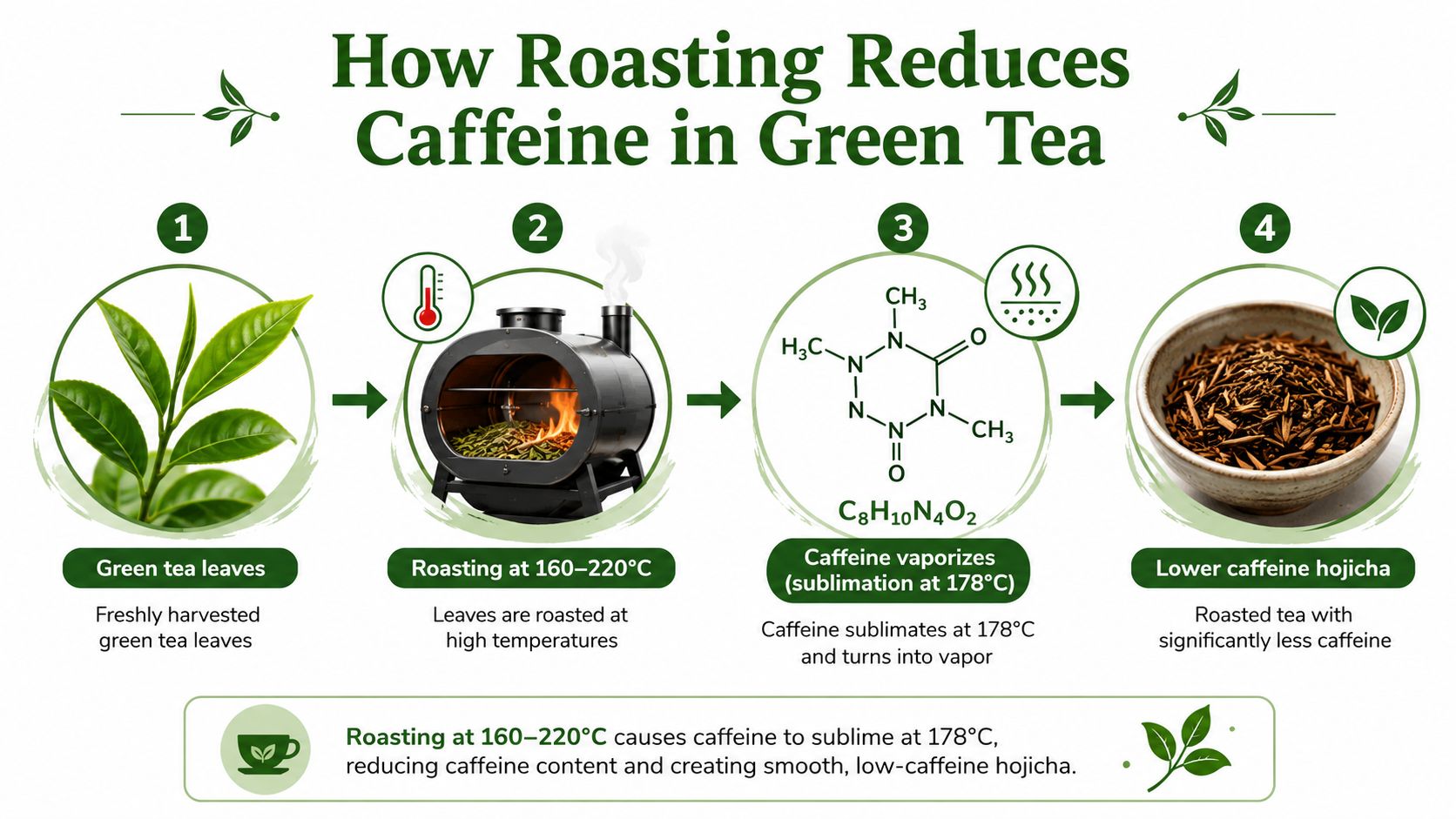 A diagram illustrating the process of reducing caffeine in green tea leaves through high-temperature roasting to create hojicha.