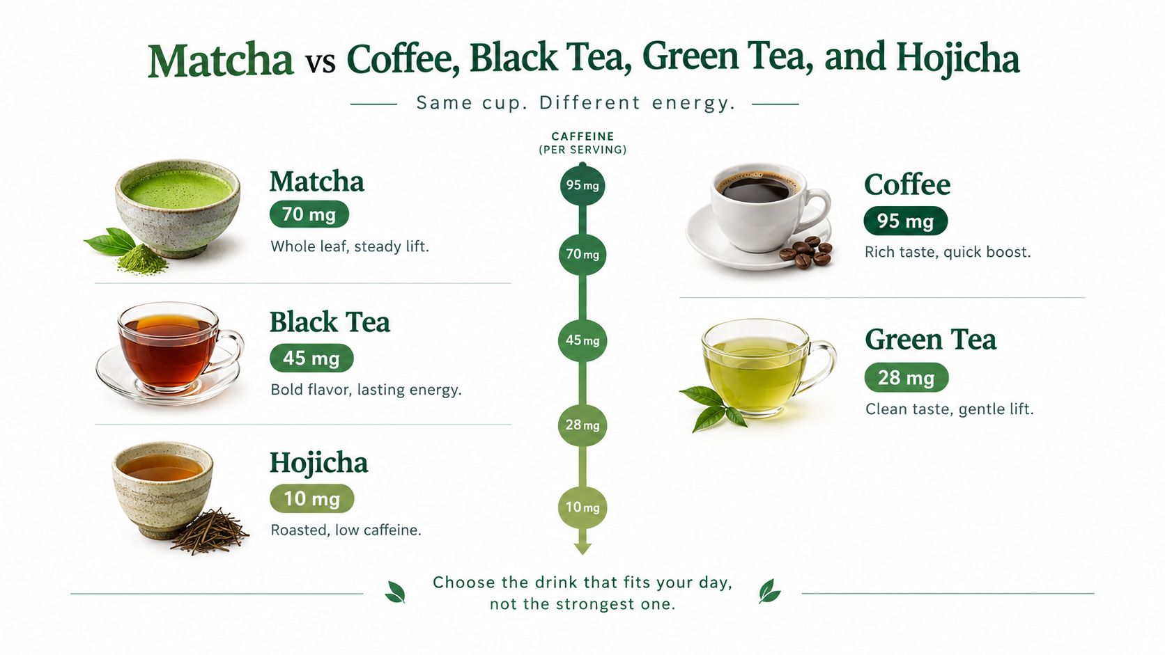 A comparison chart showing the caffeine content levels in matcha, coffee, black tea, green tea, and hojicha.
