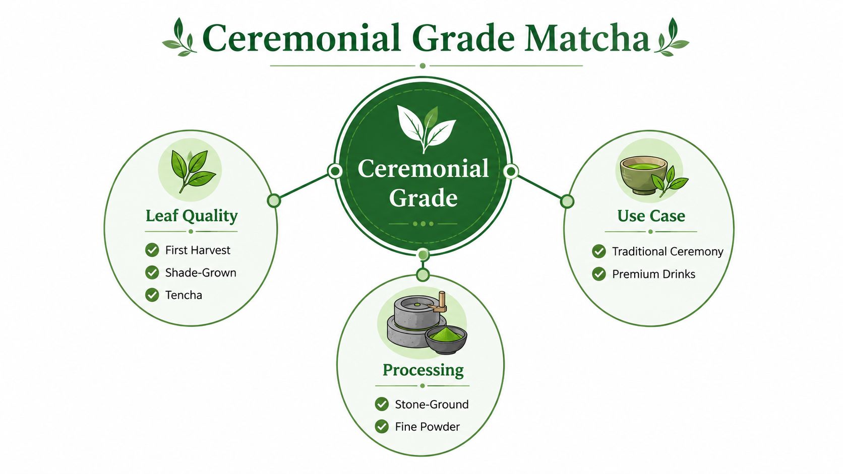 An infographic detailing the characteristics of ceremonial grade matcha including leaf quality, processing methods, and usage.