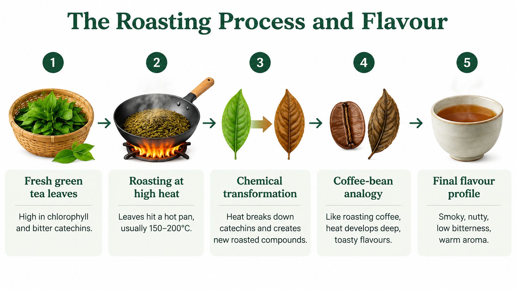 An infographic illustrating the five-step roasting process of green tea leaves into hojicha with aromatic flavor profiles.