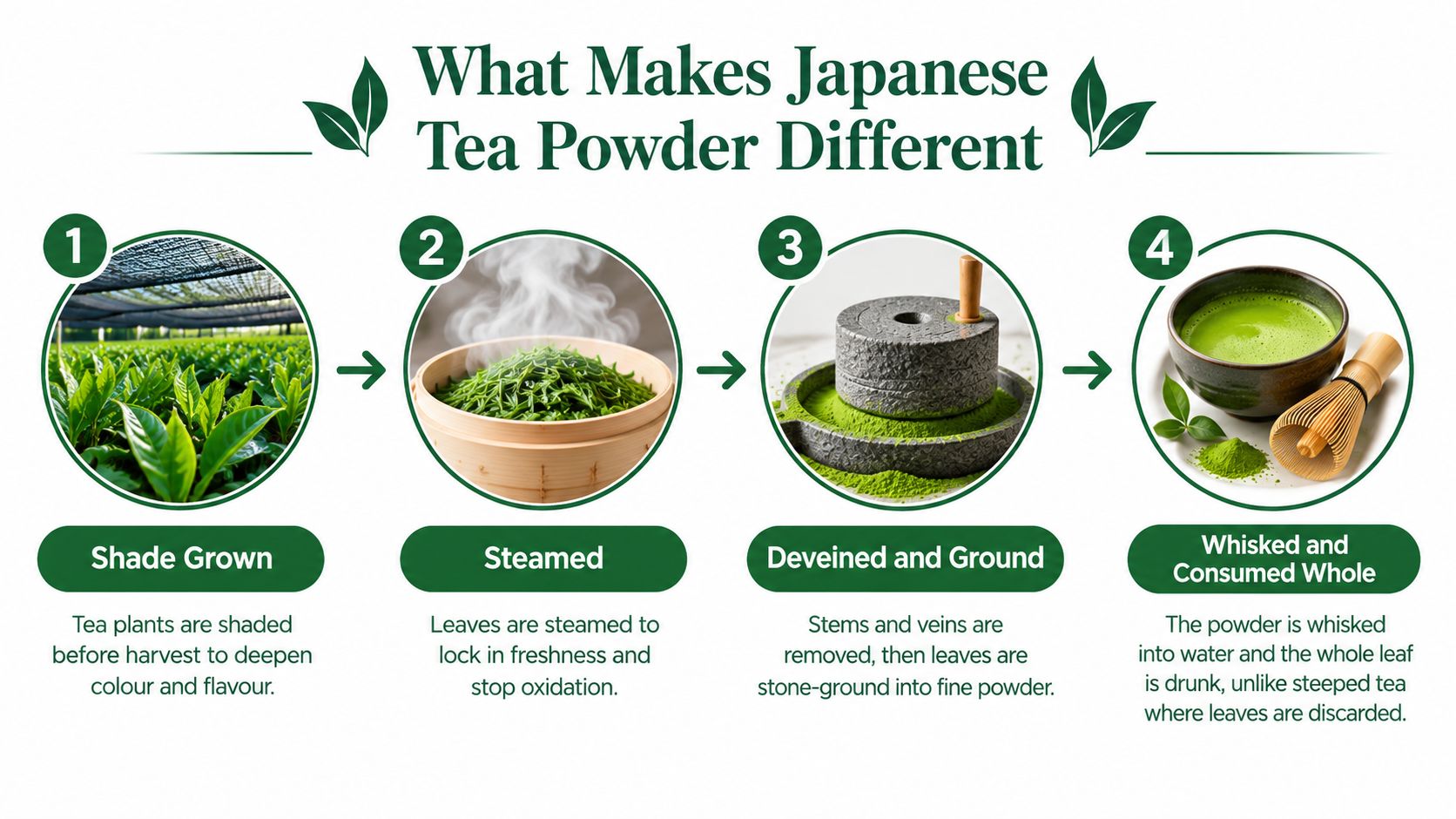 A four-step infographic illustrating the production process of Japanese tea powder, from shade-growing to consumption.