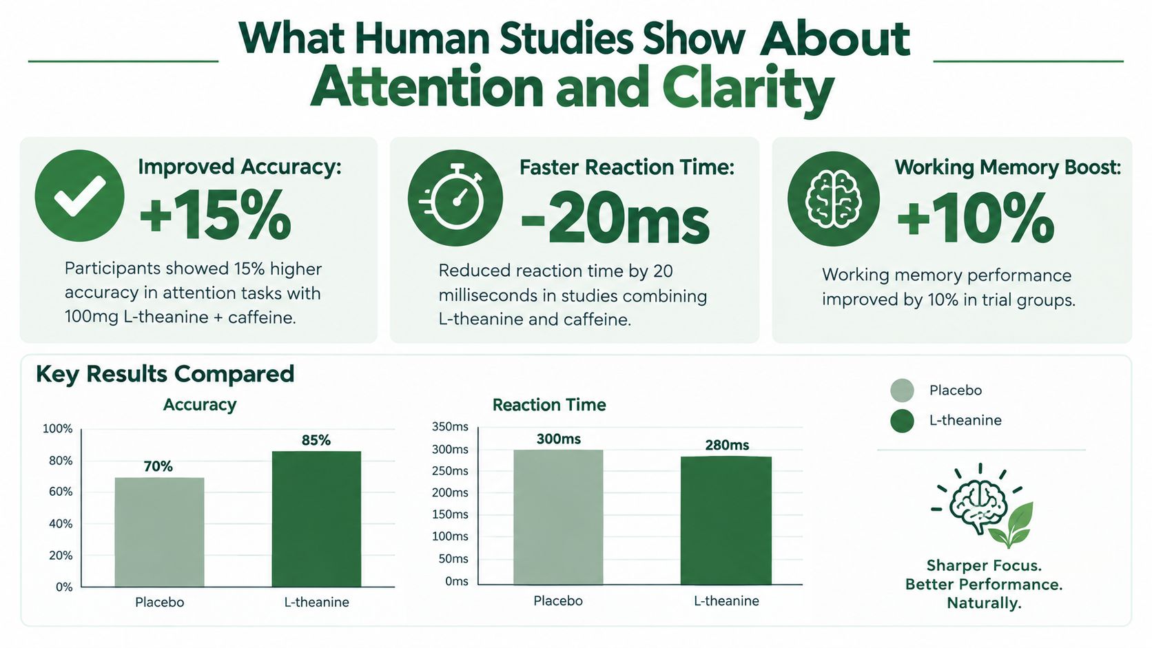 An infographic showing study results on how L-theanine and caffeine improve accuracy, reaction time, and working memory.