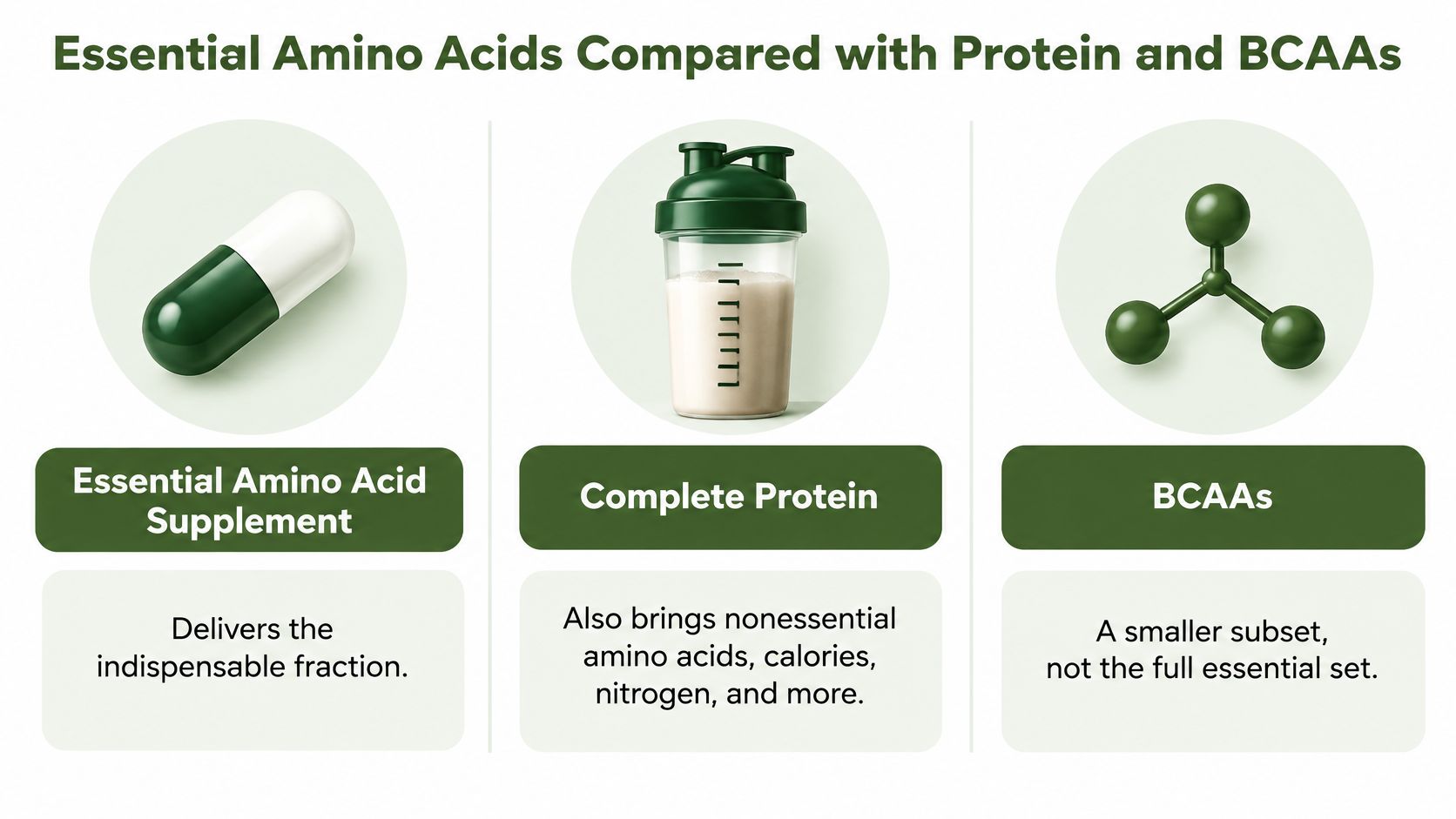 A comparison chart explaining the differences between essential amino acid supplements, complete proteins, and BCAAs.