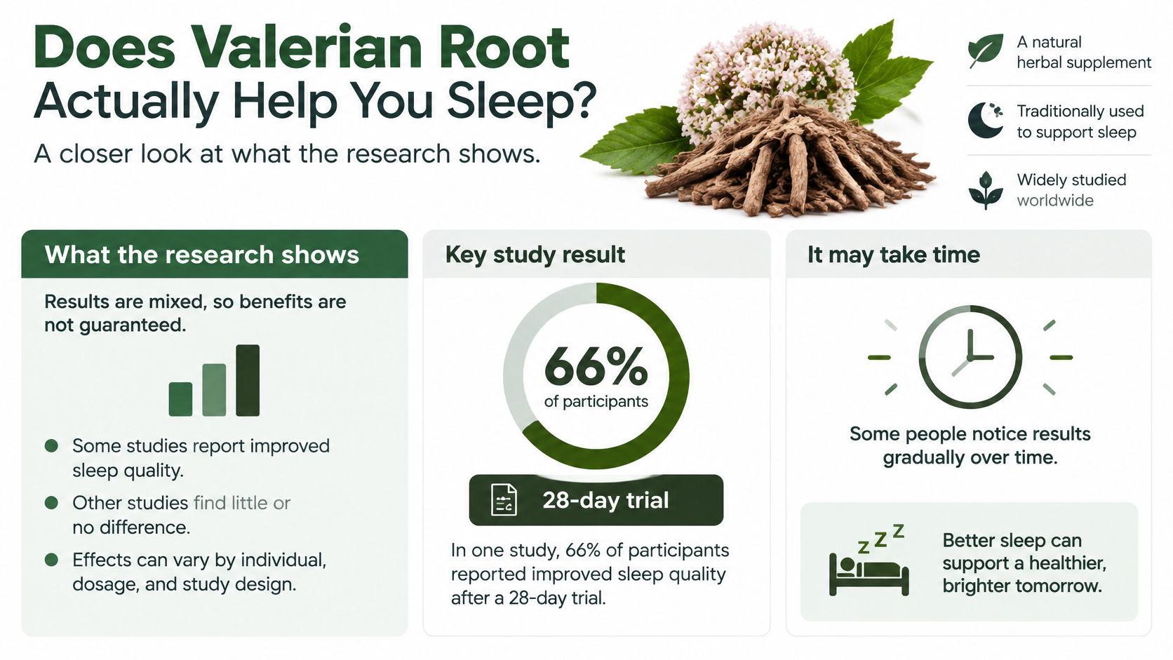 An infographic titled Does Valerian Root Actually Help You Sleep, explaining the mixed research results on sleep benefits.
