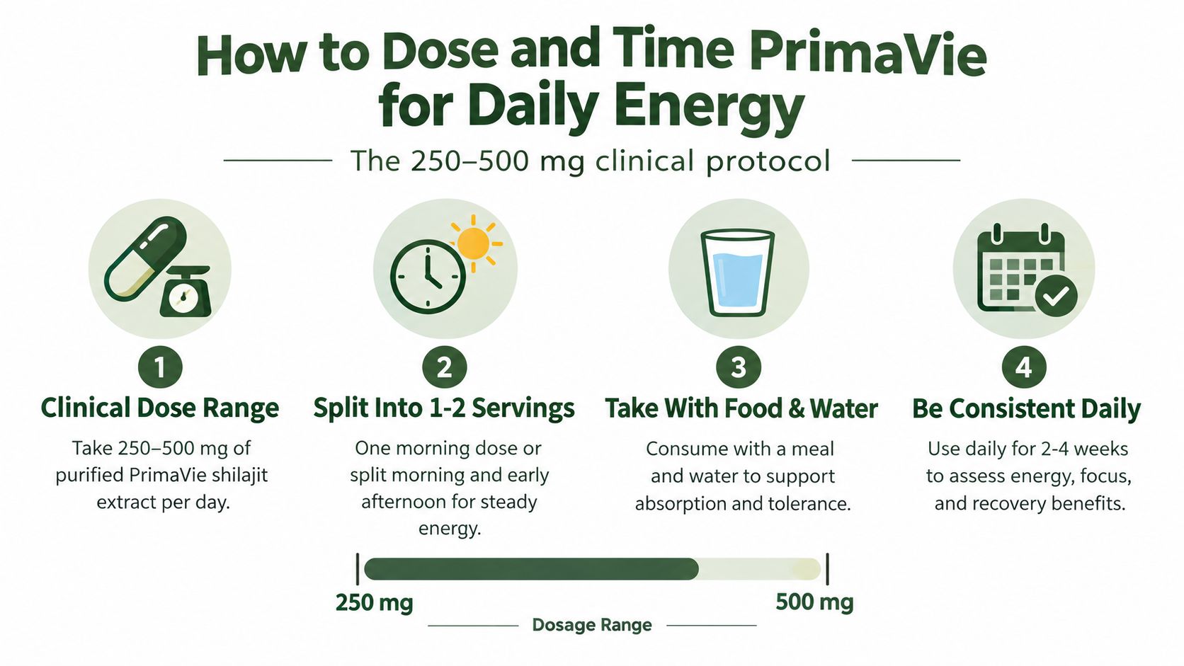 An infographic detailing the clinical protocol for dosing and timing PrimaVie shilajit for daily energy enhancement.