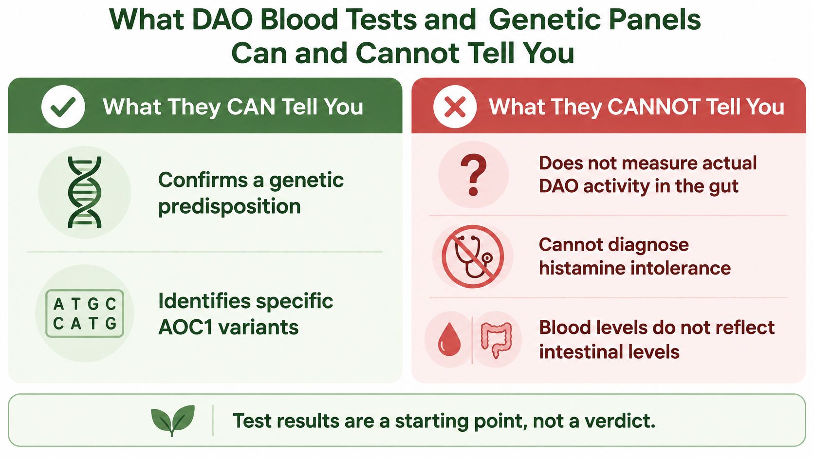An infographic detailing the capabilities and limitations of DAO blood tests and genetic panels for histamine intolerance.