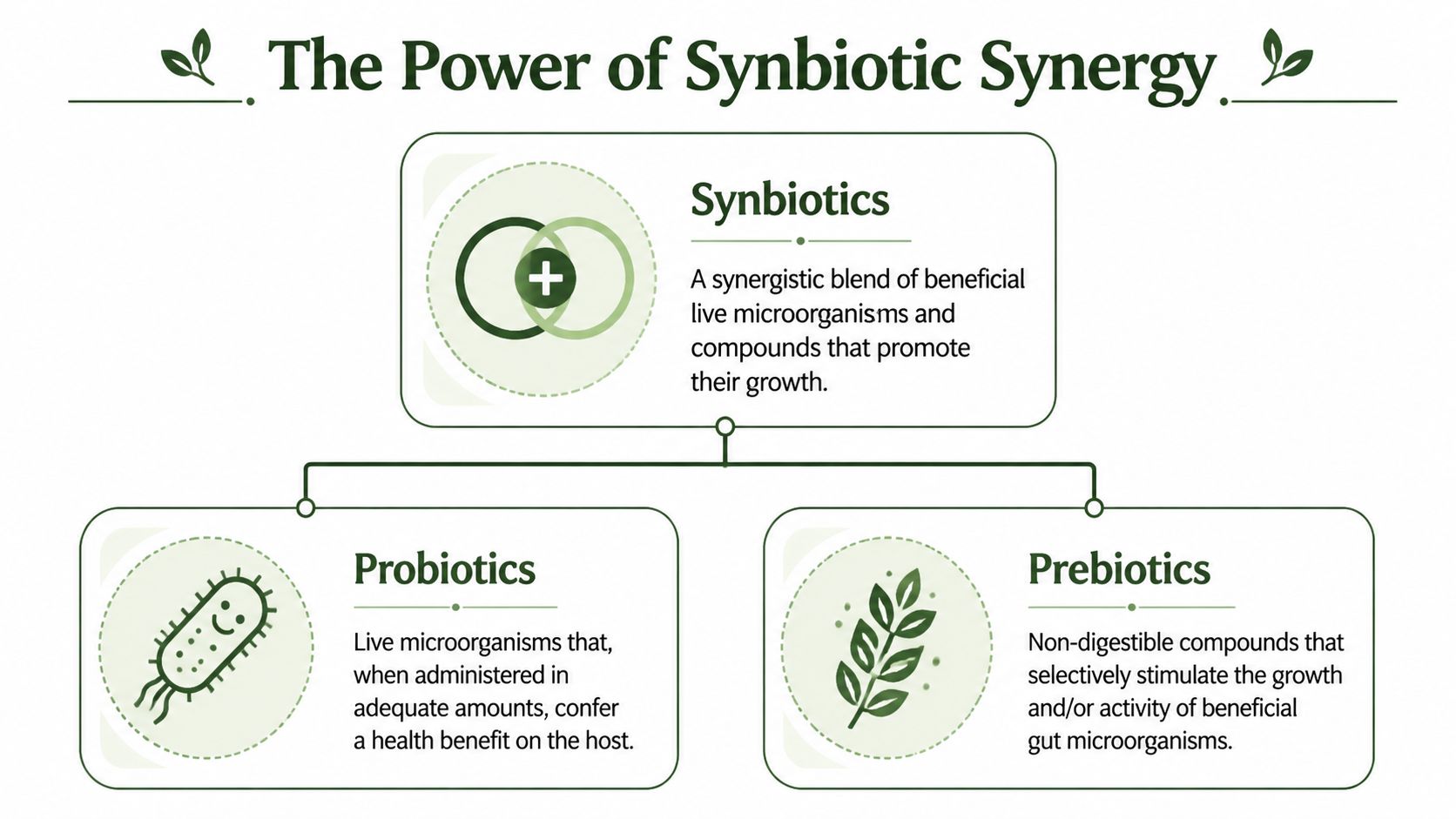 Synbiotics Examples Upper GI Sweep: Synbiotics Supplements for Total Health - Peak Performance
