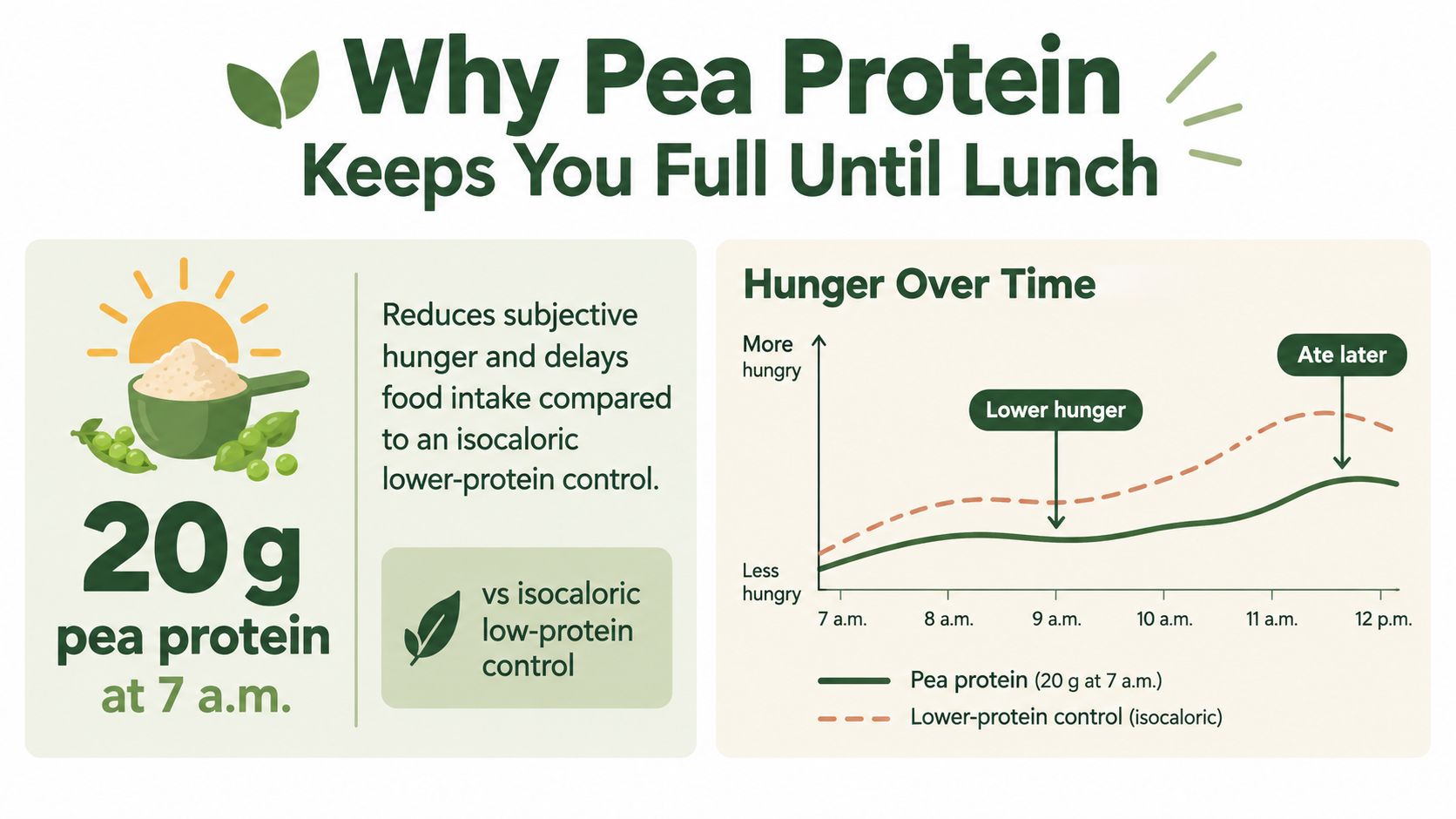 A chart illustrating how 20g of pea protein reduces hunger compared to a lower-protein control group.