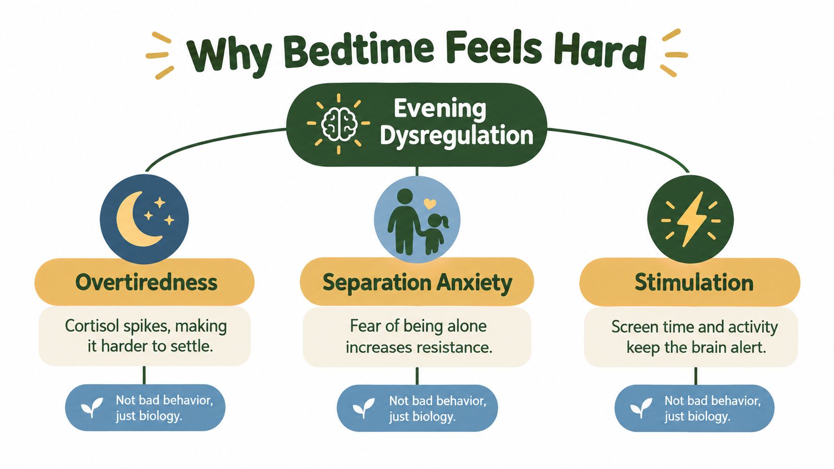 A diagram explaining three biological reasons why children experience bedtime struggles: overtiredness, separation anxiety, and overstimulation.