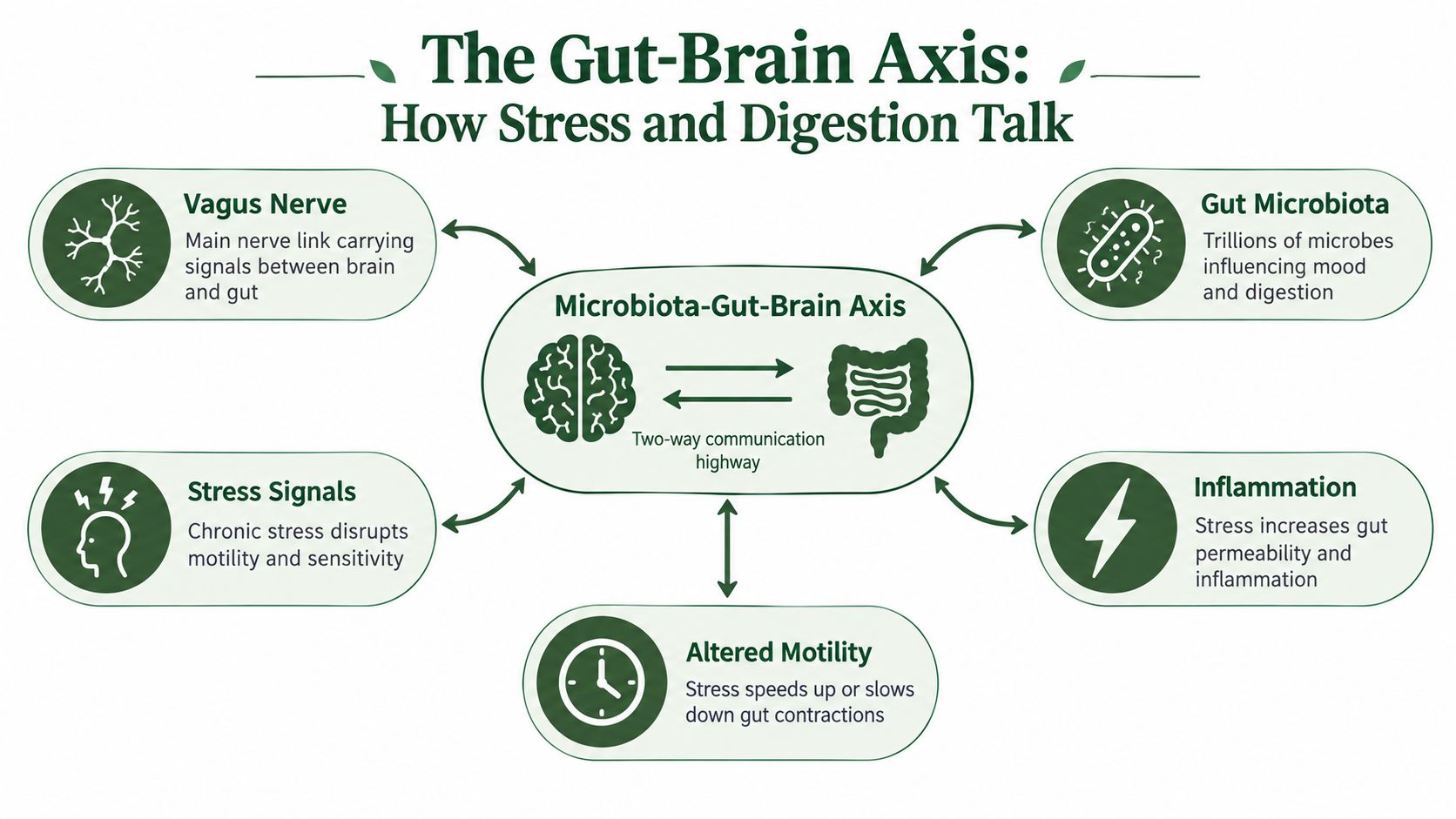 A diagram illustrating the Gut-Brain Axis, showing the complex two-way communication between the brain and digestive system.