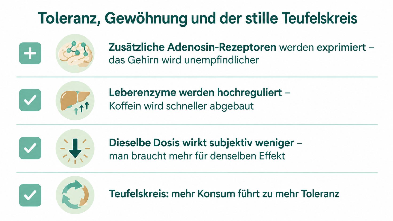 Eine Infografik erklärt, wie Koffeinkonsum zu Toleranz, Gewöhnung und einem Teufelskreis im Körper führt.