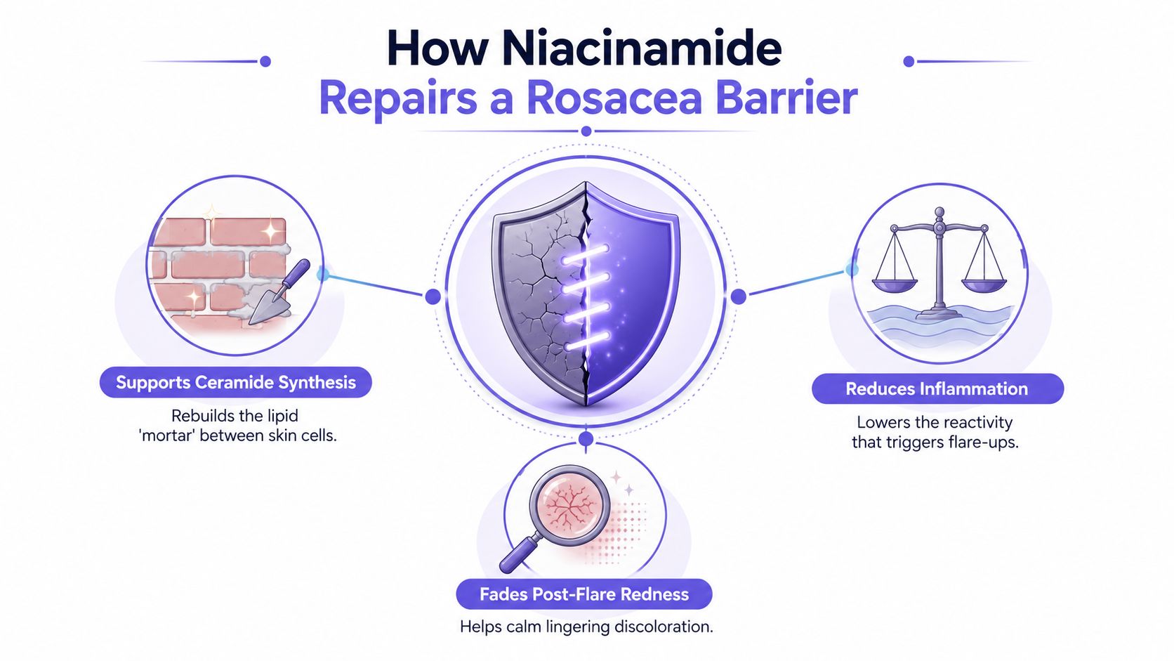 A diagram illustrating how niacinamide helps repair a skin barrier affected by rosacea through three mechanisms.