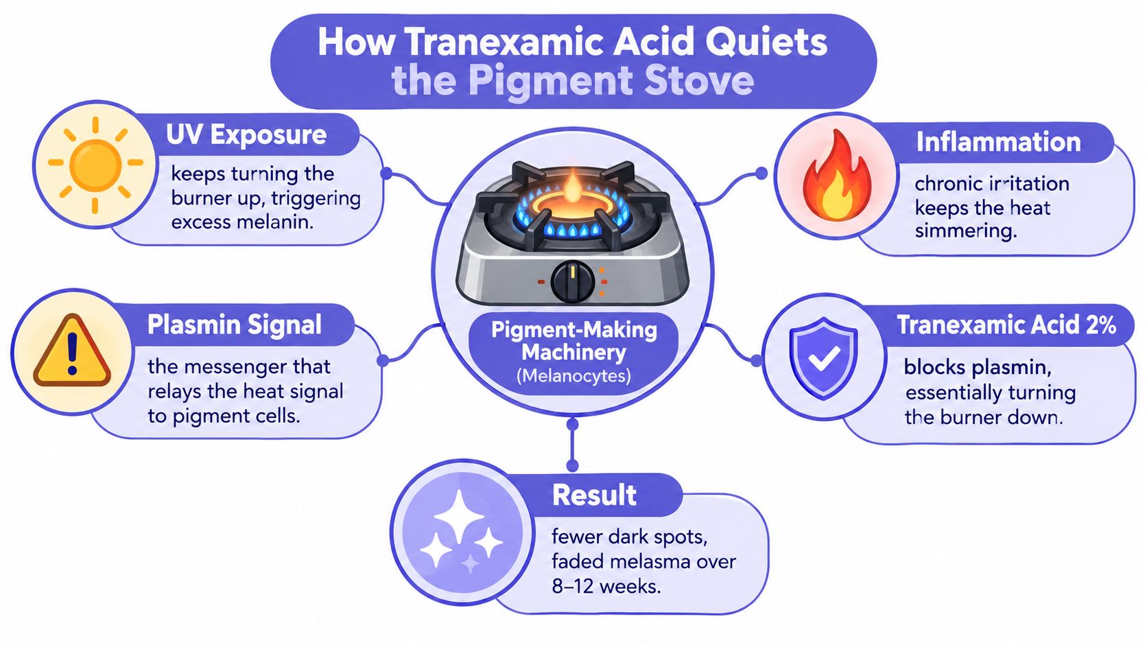 A diagram explaining how tranexamic acid reduces pigmentation by blocking plasmin signals within melanocytes like a stove.