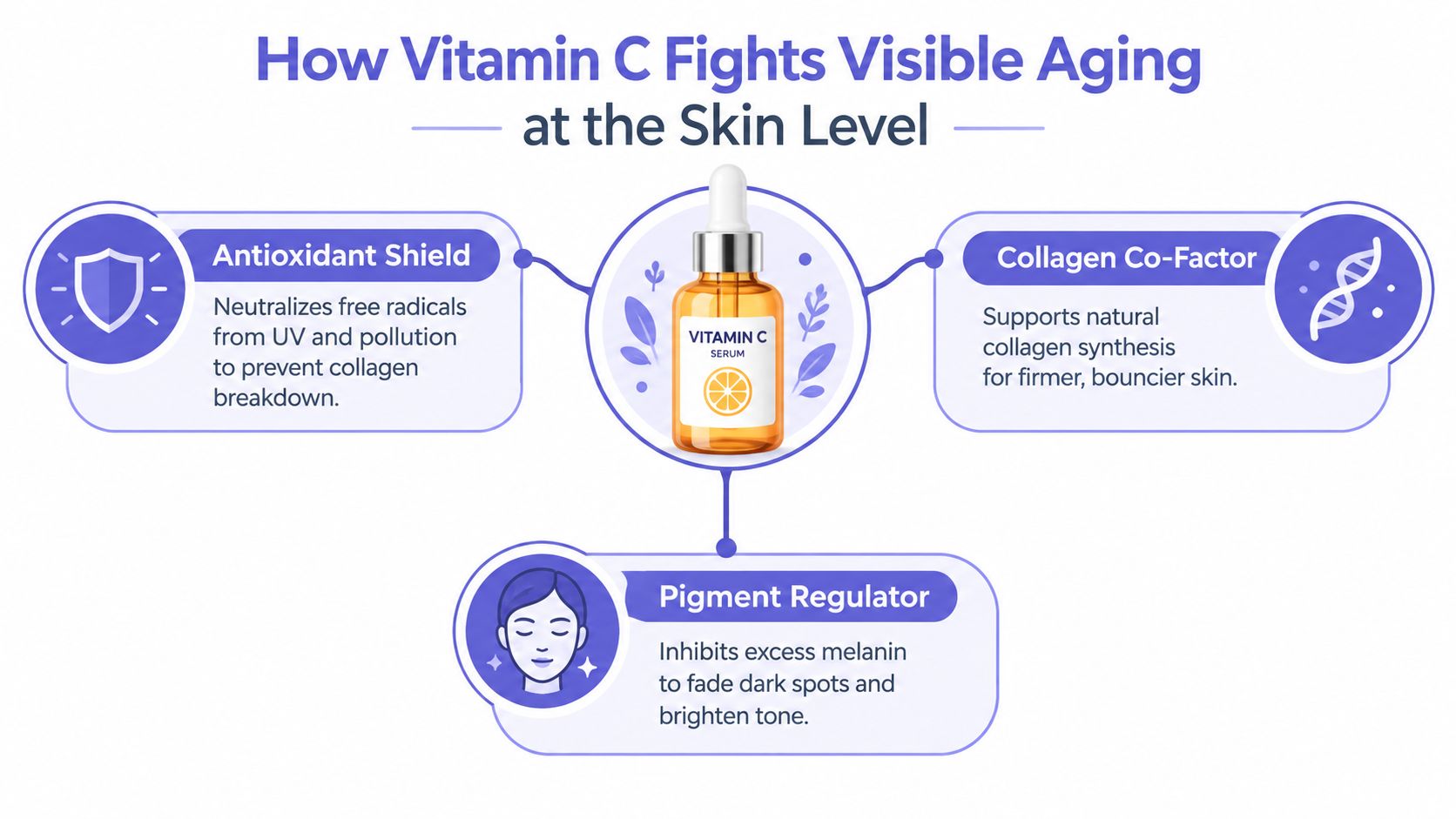 An infographic showing how Vitamin C serum acts as an antioxidant, collagen co-factor, and pigment regulator.
