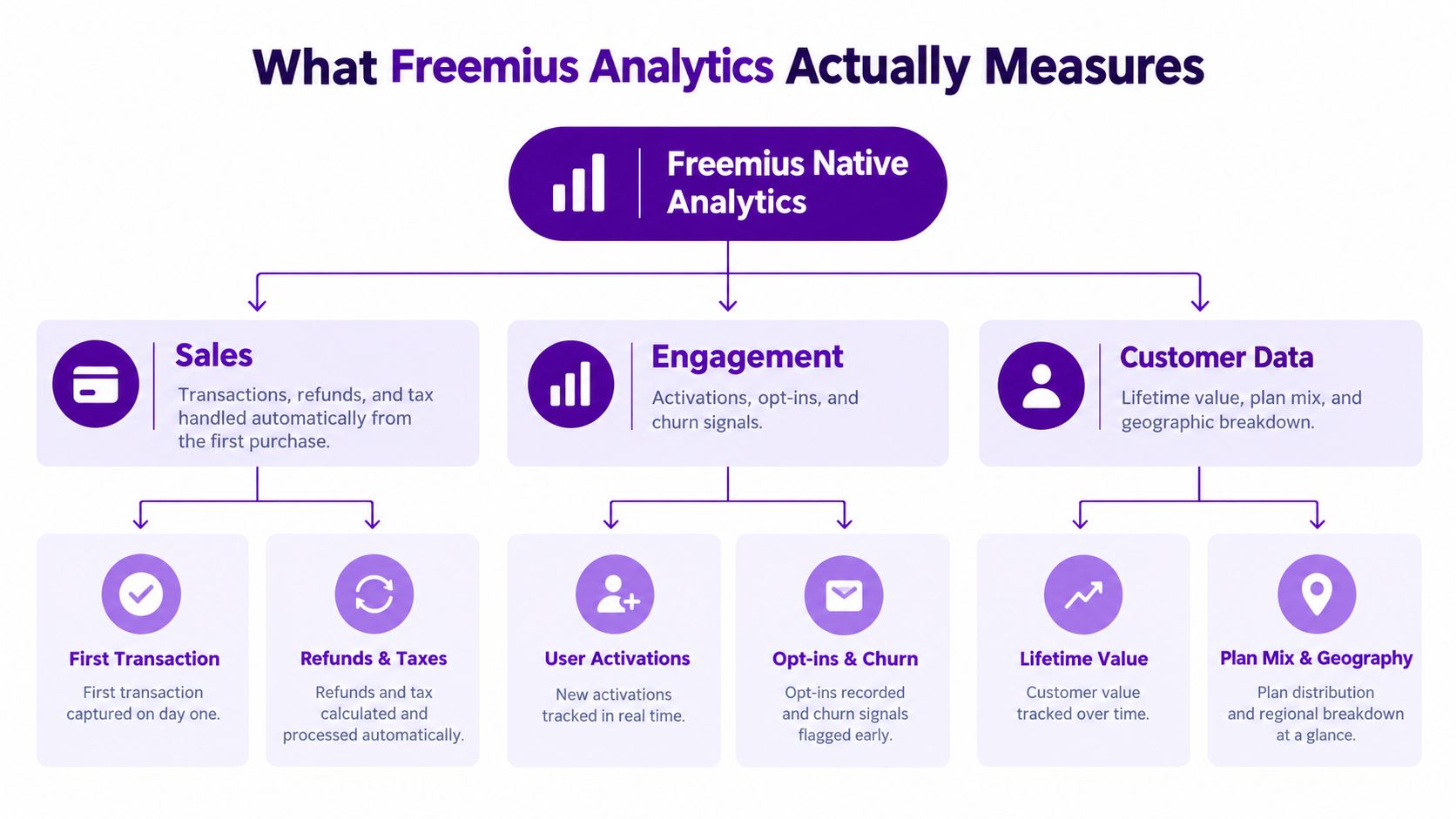 A diagram explaining what Freemius Native Analytics measures across sales, engagement, and customer data metrics.