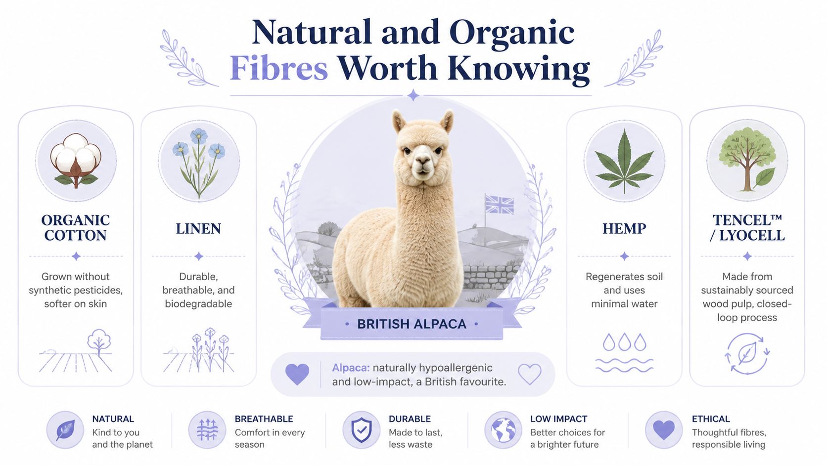 An infographic titled Natural and Organic Fibres highlighting cotton, linen, alpaca, hemp, and Tencel materials.