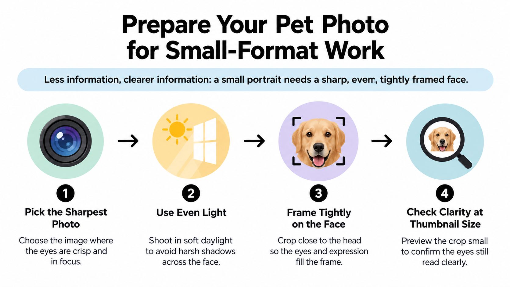 A four-step infographic illustrating how to prepare pet photos for small-format portraits by focusing on clarity and framing.