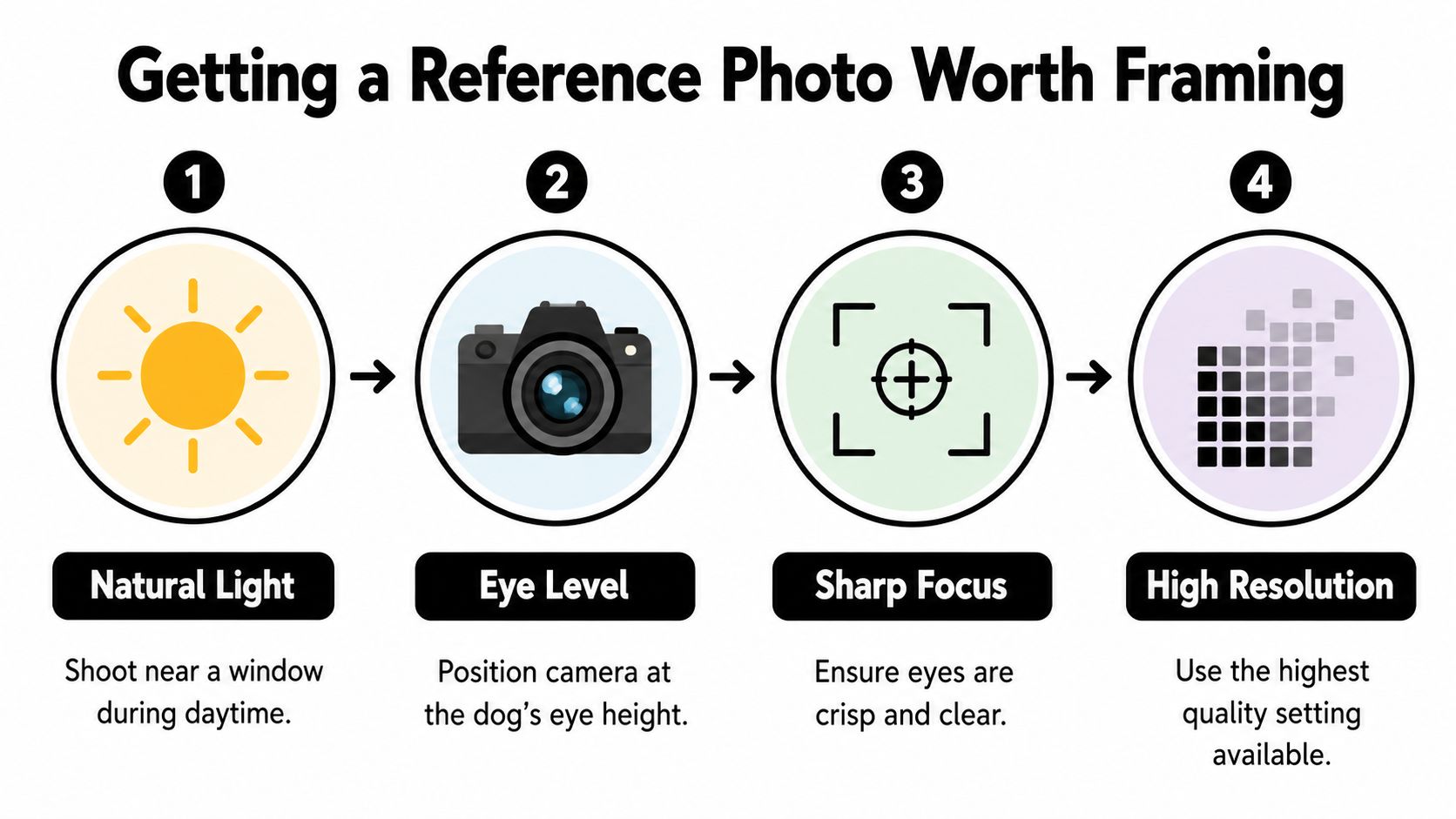 A step-by-step infographic illustrating four tips for taking high-quality reference photos of dogs for framing.