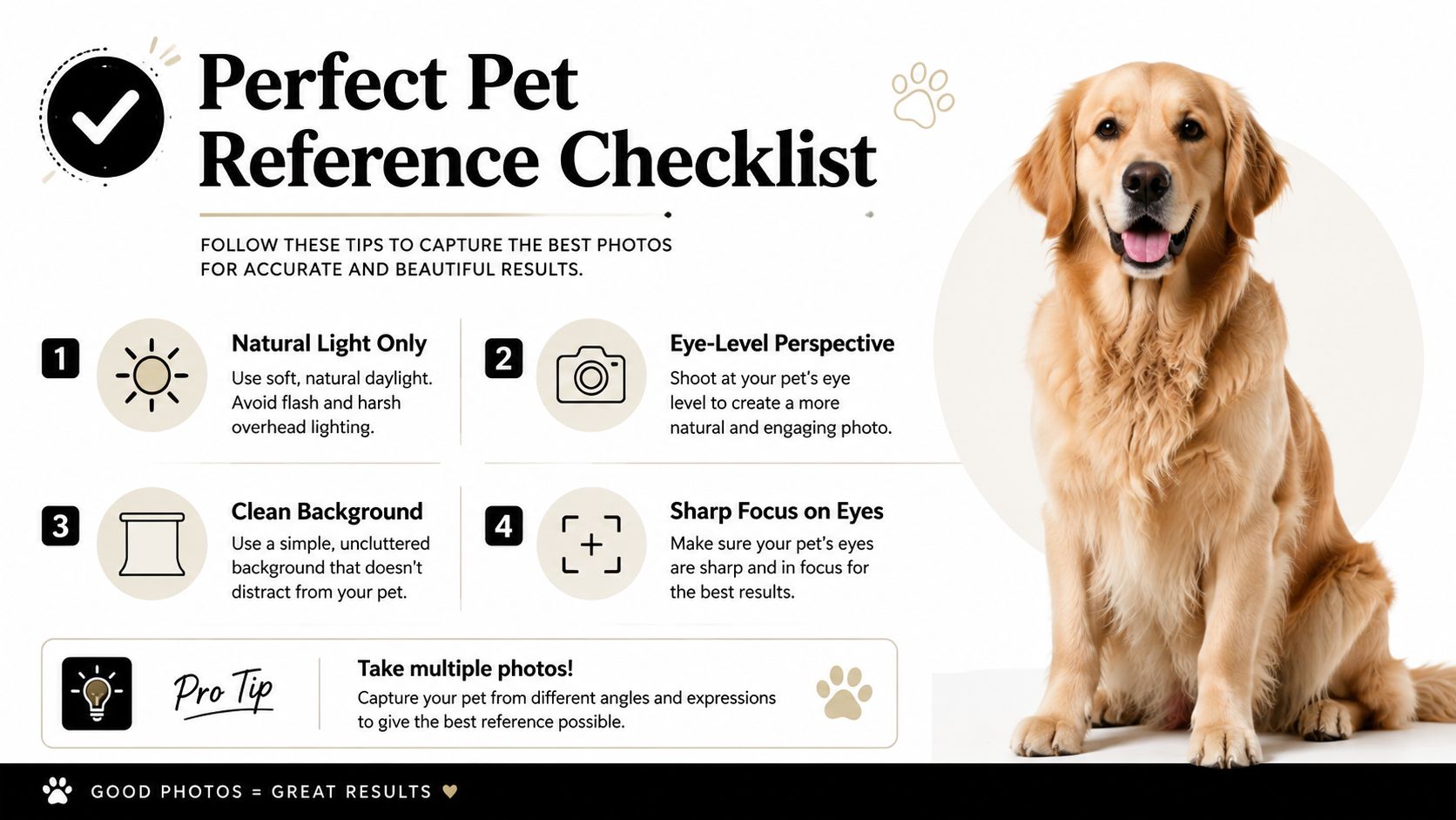 An infographic checklist for taking perfect pet photos to use as references for custom portraits.