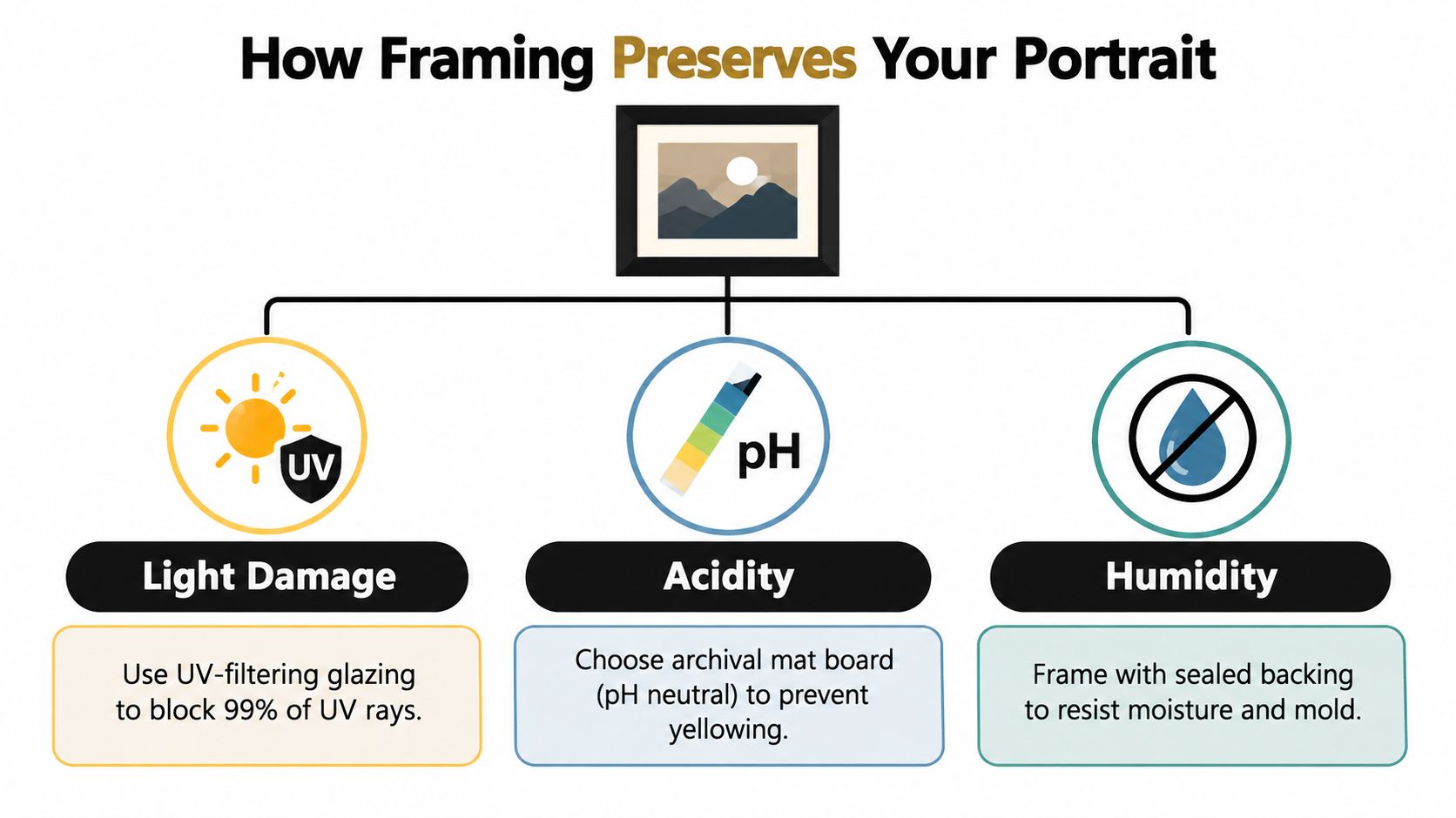 A diagram explaining how professional framing protects a portrait from light damage, acidity, and humidity.