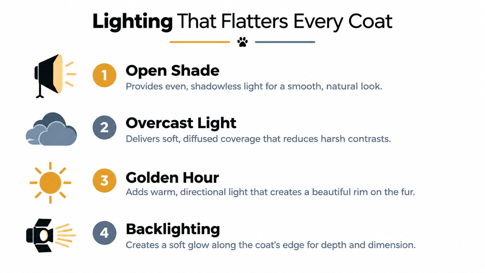 An infographic titled Lighting That Flatters Every Coat illustrating four photography lighting techniques for pet portraits.