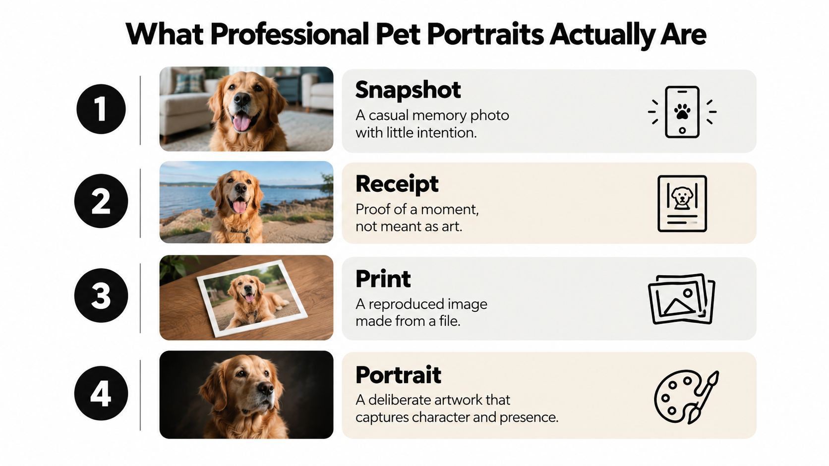 An infographic titled What Professional Pet Portraits Actually Are, illustrating the differences between snapshots, receipts, prints, and portraits.
