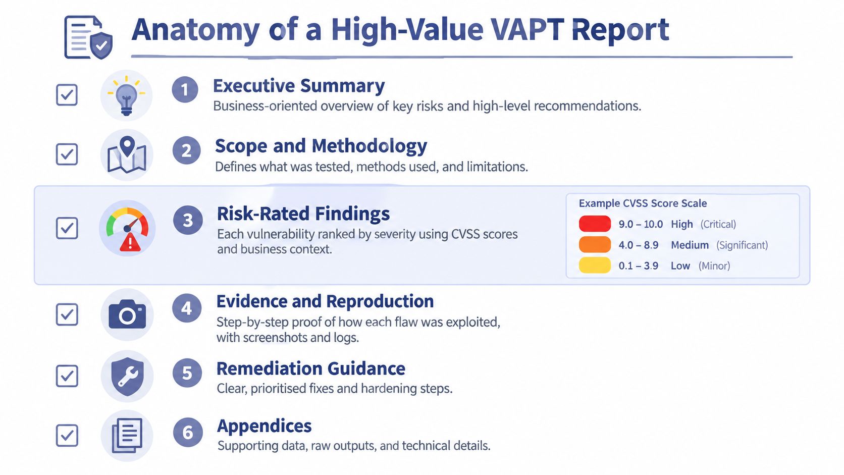 A visual breakdown of the six essential components included in a comprehensive high-value VAPT assessment report.