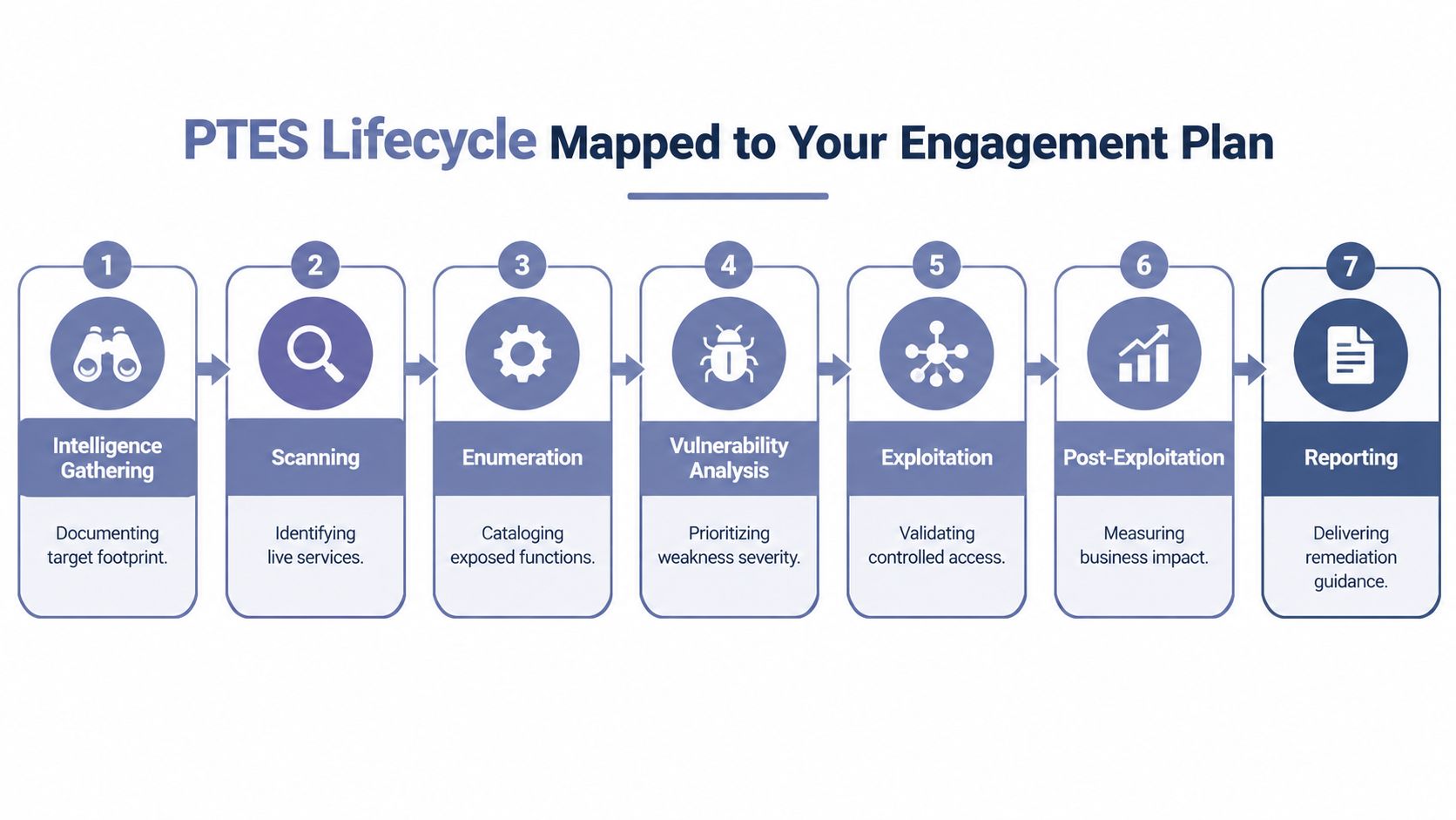 A diagram illustrating the seven stages of the PTES lifecycle, ranging from intelligence gathering to final reporting.