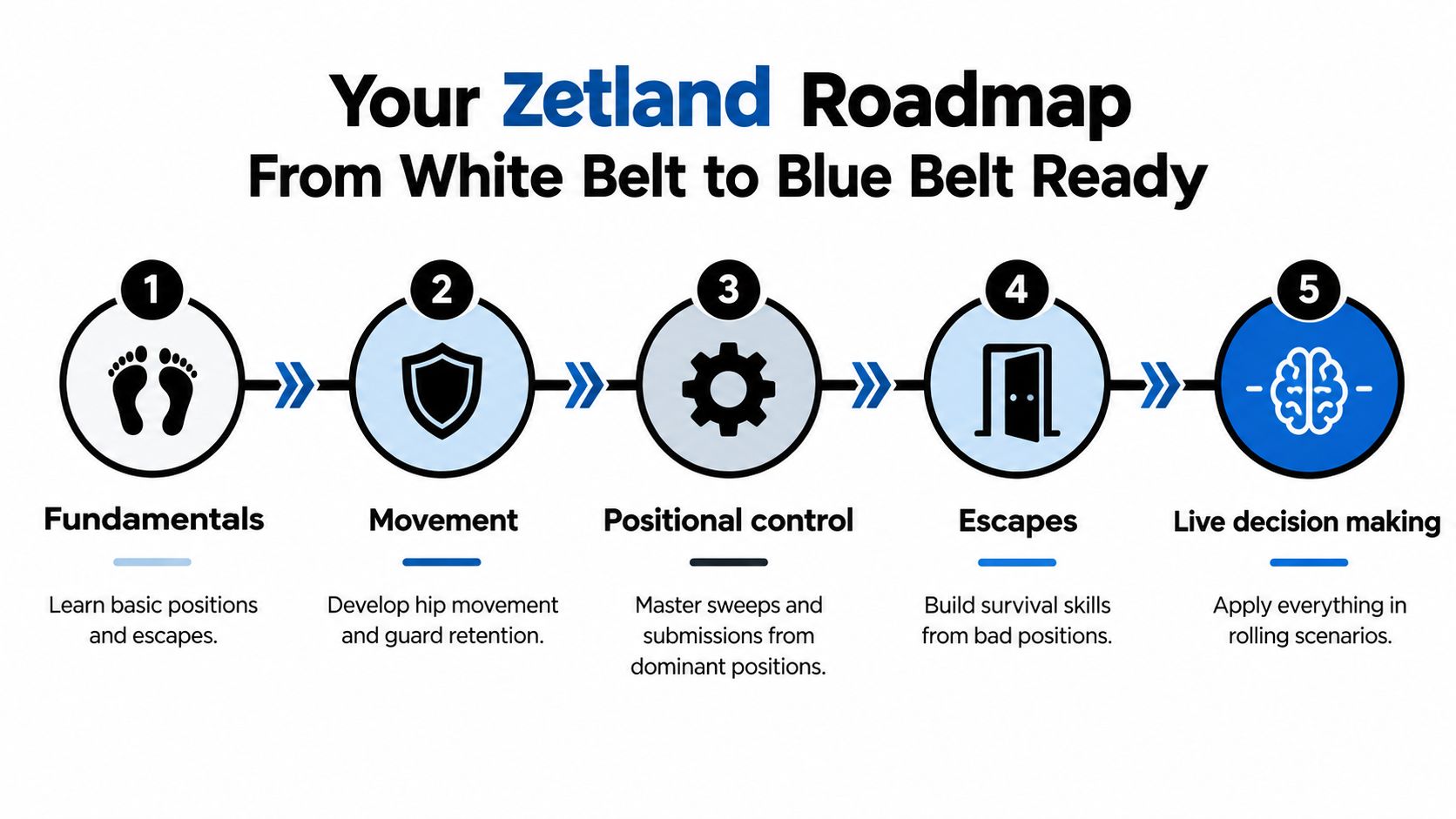 A flowchart titled Zetland Roadmap illustrating five progressive steps to reach blue belt proficiency in Brazilian Jiu-Jitsu.