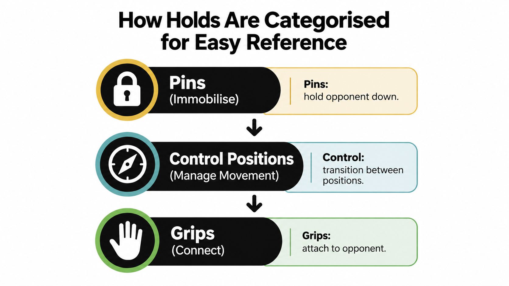 An infographic showing the three categories of Brazilian Jiu Jitsu holds: Pins, Control Positions, and Grips.