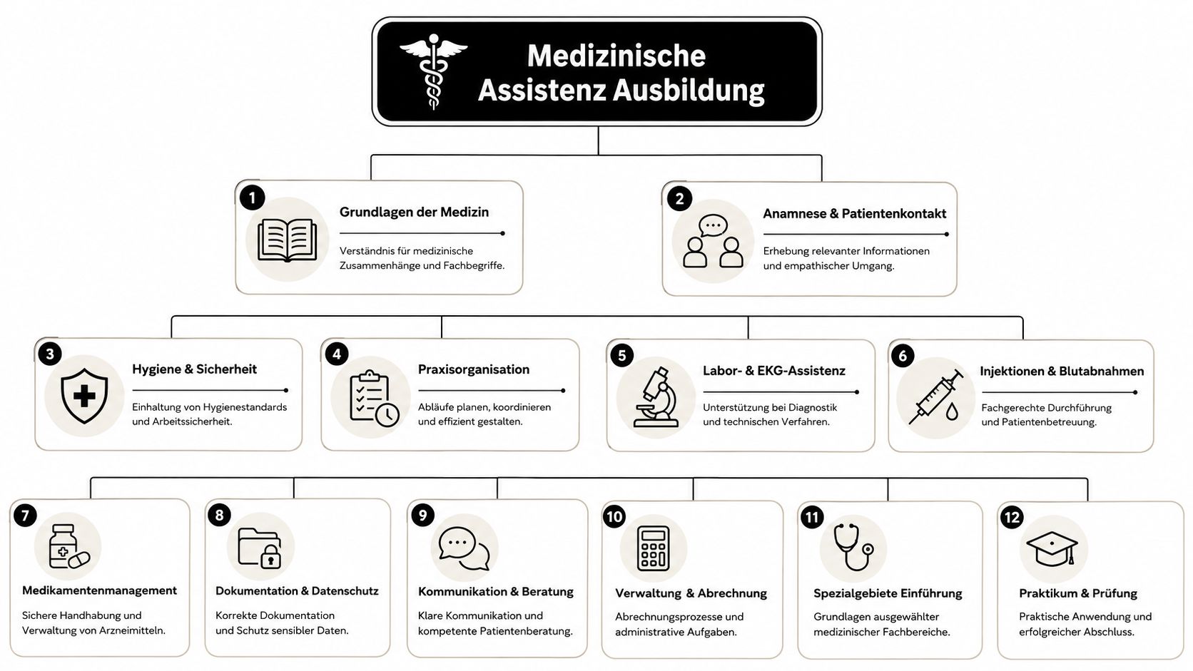 Ein strukturiertes Flussdiagramm zur Ausbildung als Medizinische Assistenz mit zwölf verschiedenen Modulen und ihren jeweiligen Lerninhalten.