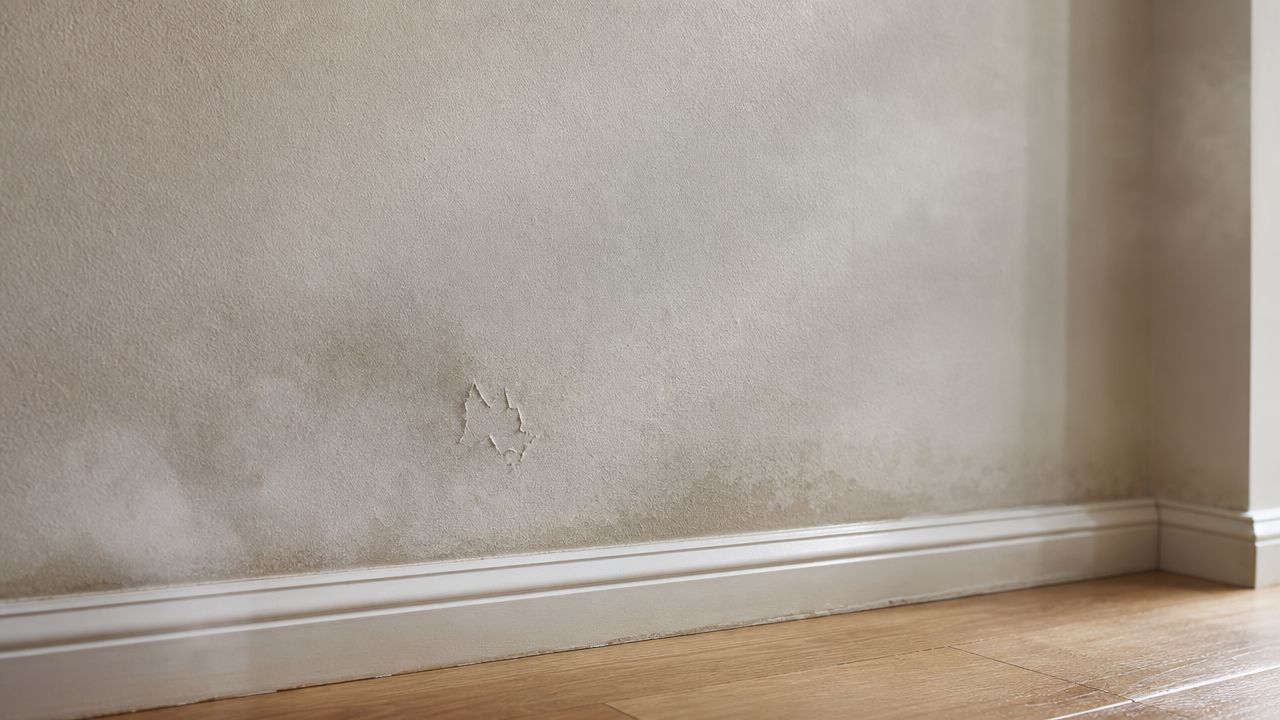A Close-Up View Of A Damaged Wall Showing Signs Of Dampness, Peeling Paint, And Water Stain Damage.