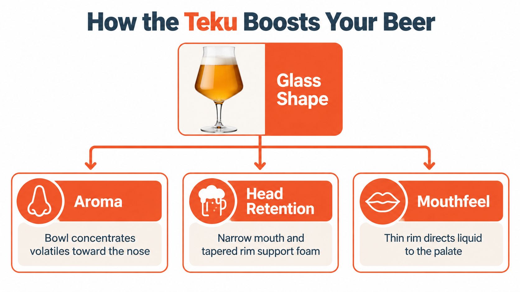 An infographic explaining how the specific shape of a Teku beer glass improves aroma, head retention, and mouthfeel.