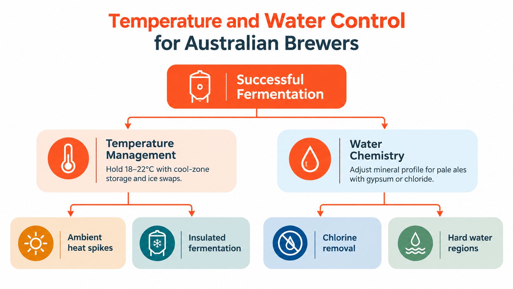 A flowchart showing temperature and water chemistry strategies for successful beer fermentation in Australian home brewing.