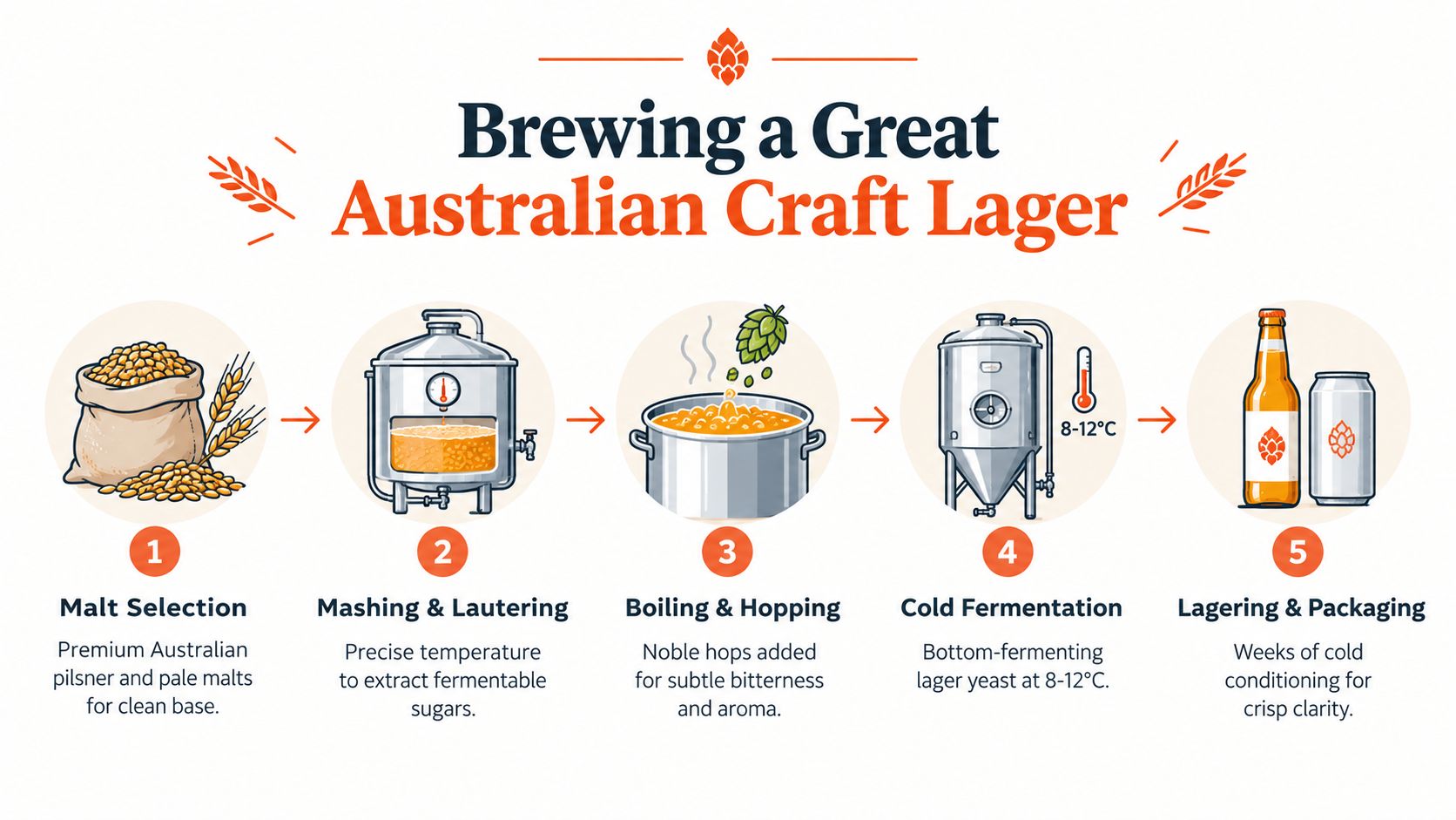 A five-step infographic illustrating the professional brewing process for making Australian craft lager beer.