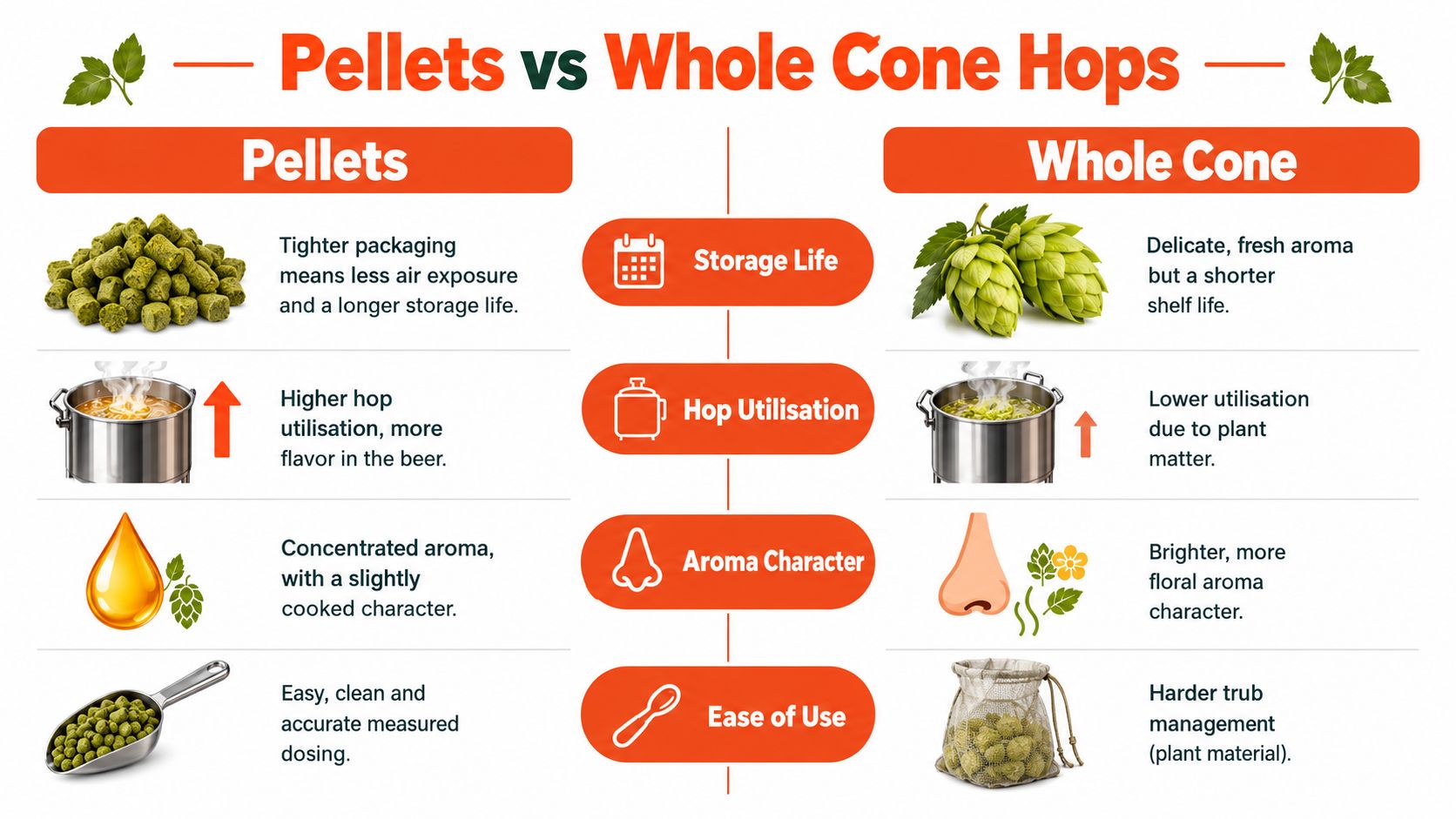 An infographic comparing the differences between pellet and whole cone hops for brewing beer applications.