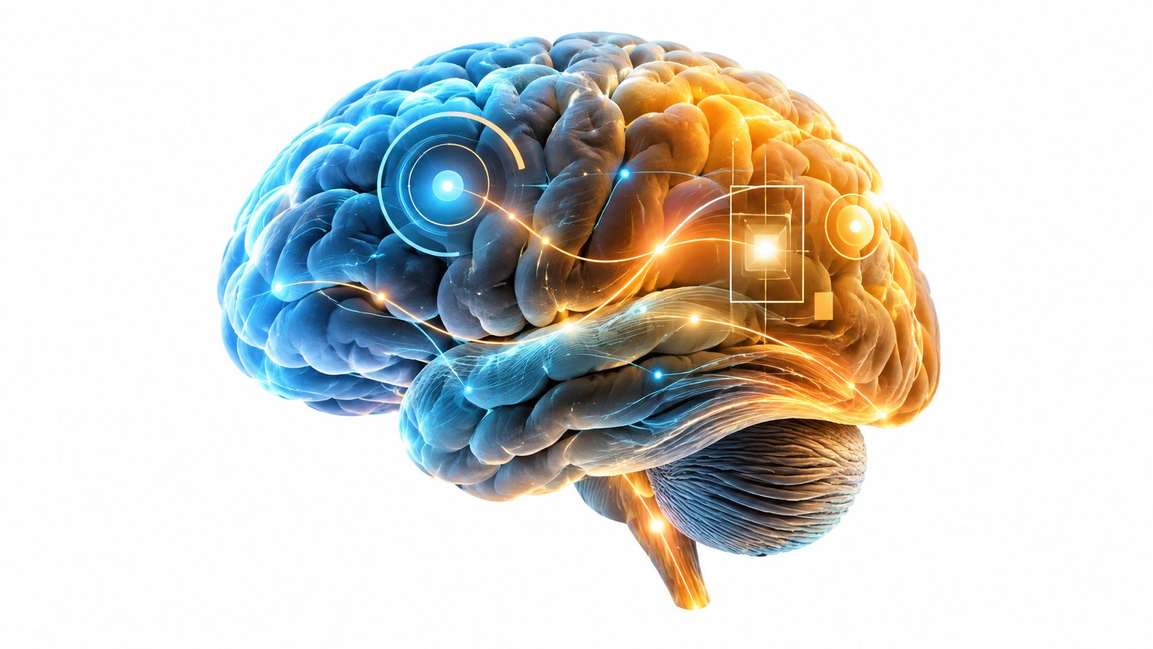 Eine grafische Darstellung eines menschlichen Gehirns mit digitalen Lichtverbindungen, die technologische Intelligenz und neuronale Netzwerke symbolisiert.